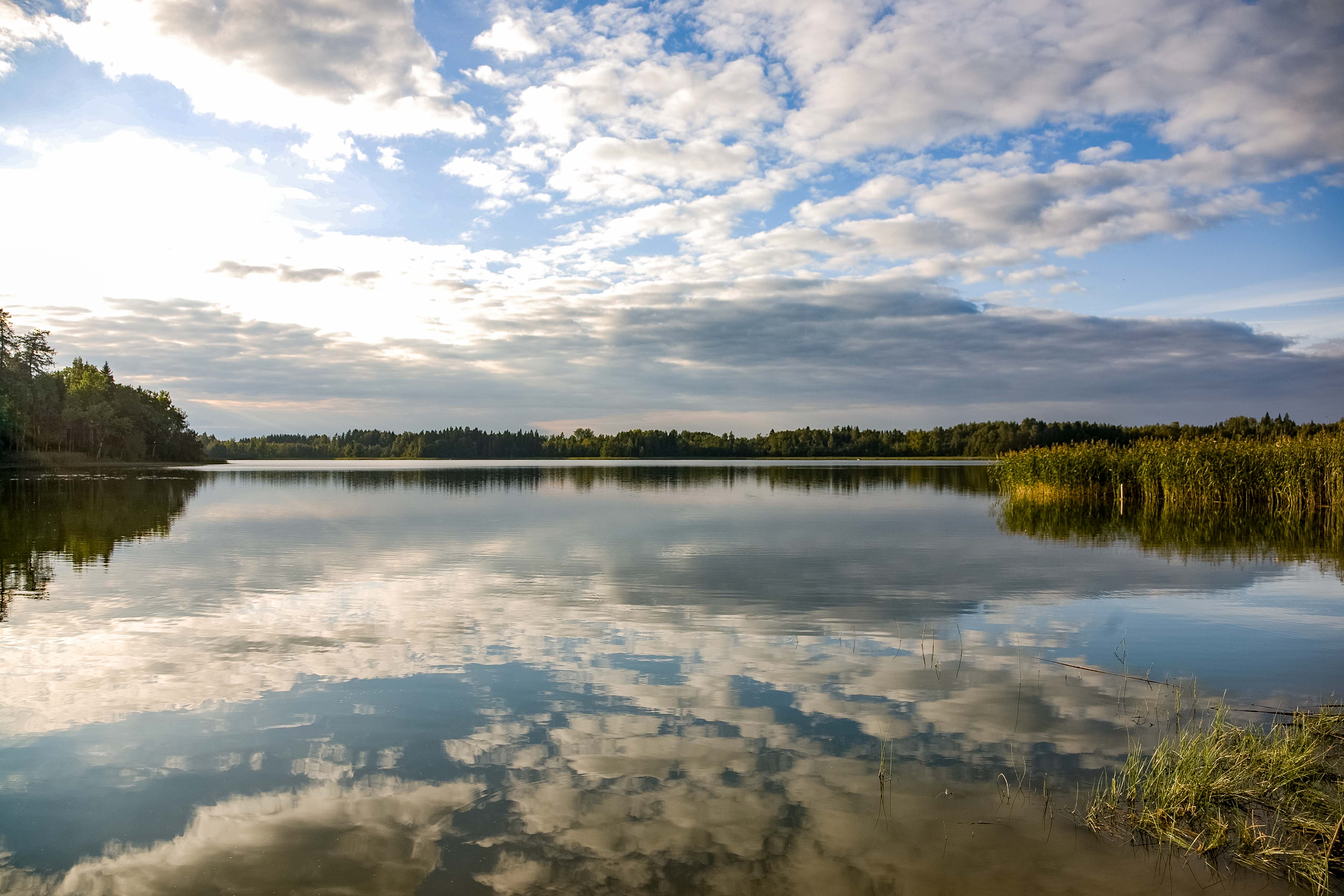 Estonia, Polvamaa Prov, Lake, 2010, IMG_1515