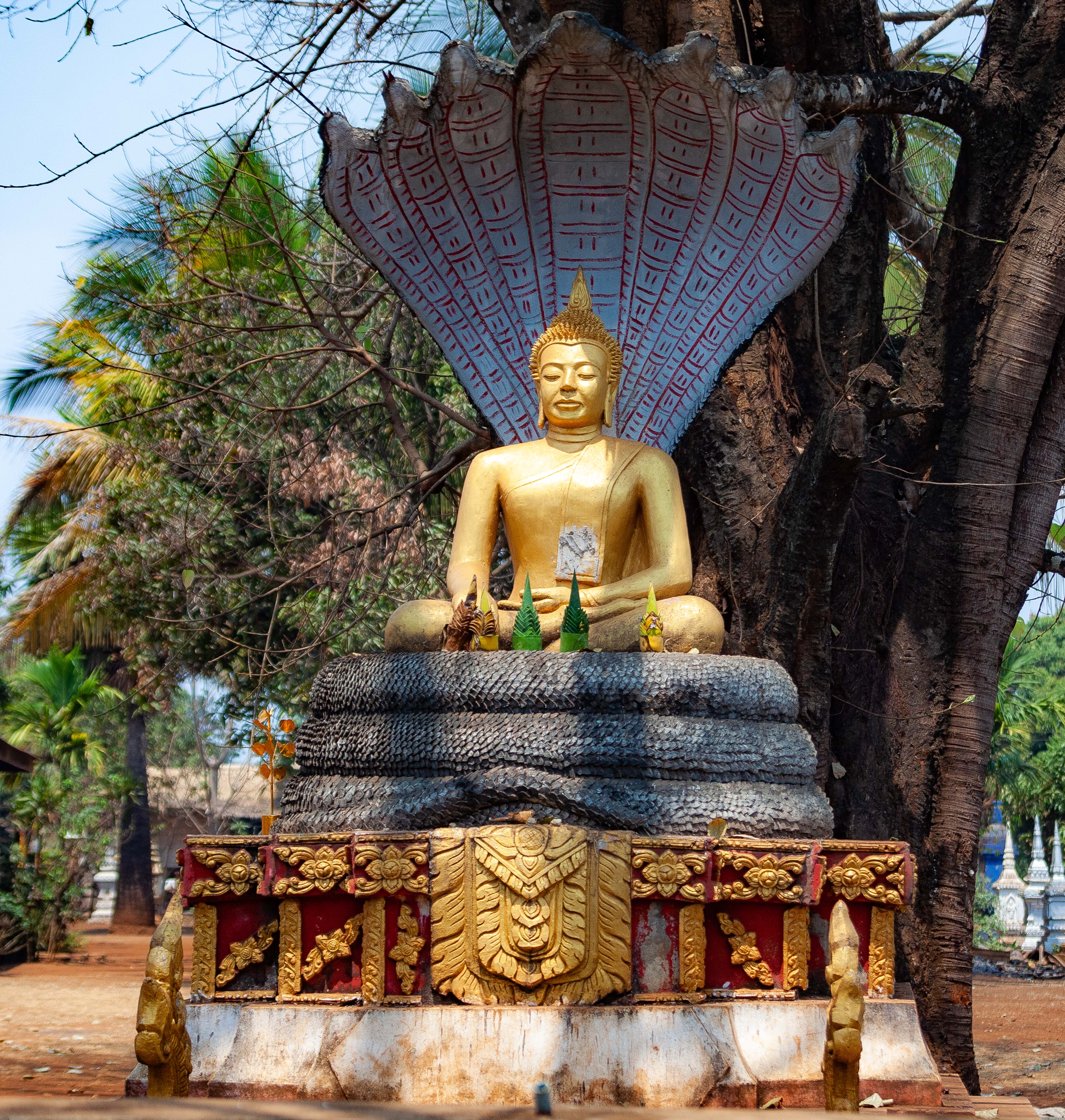 Laos, Salvan Prov, Buddha, 2008, IMG 0408