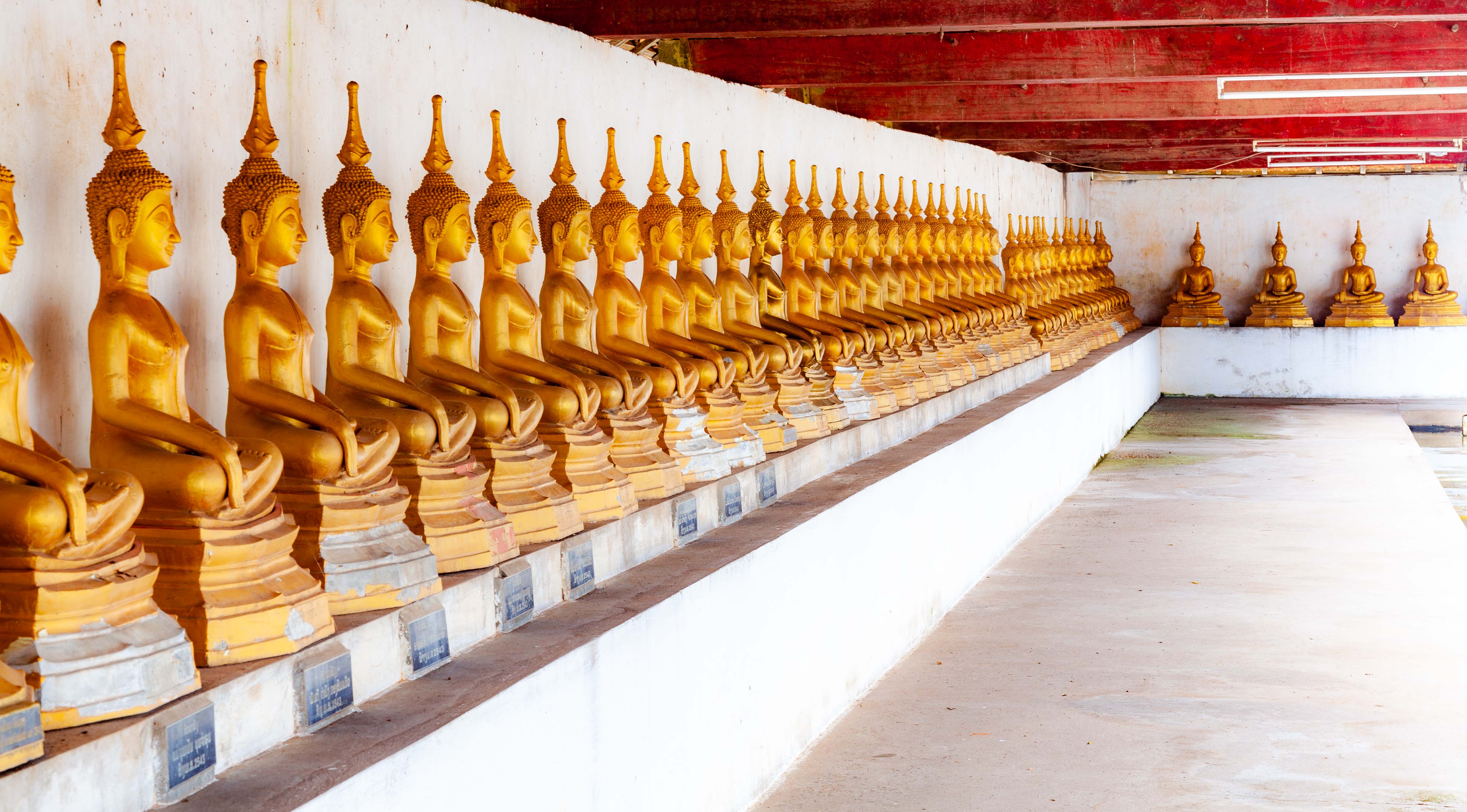 Laos, Savannakhet Prov, Buddhas, 2011, IMG 4184