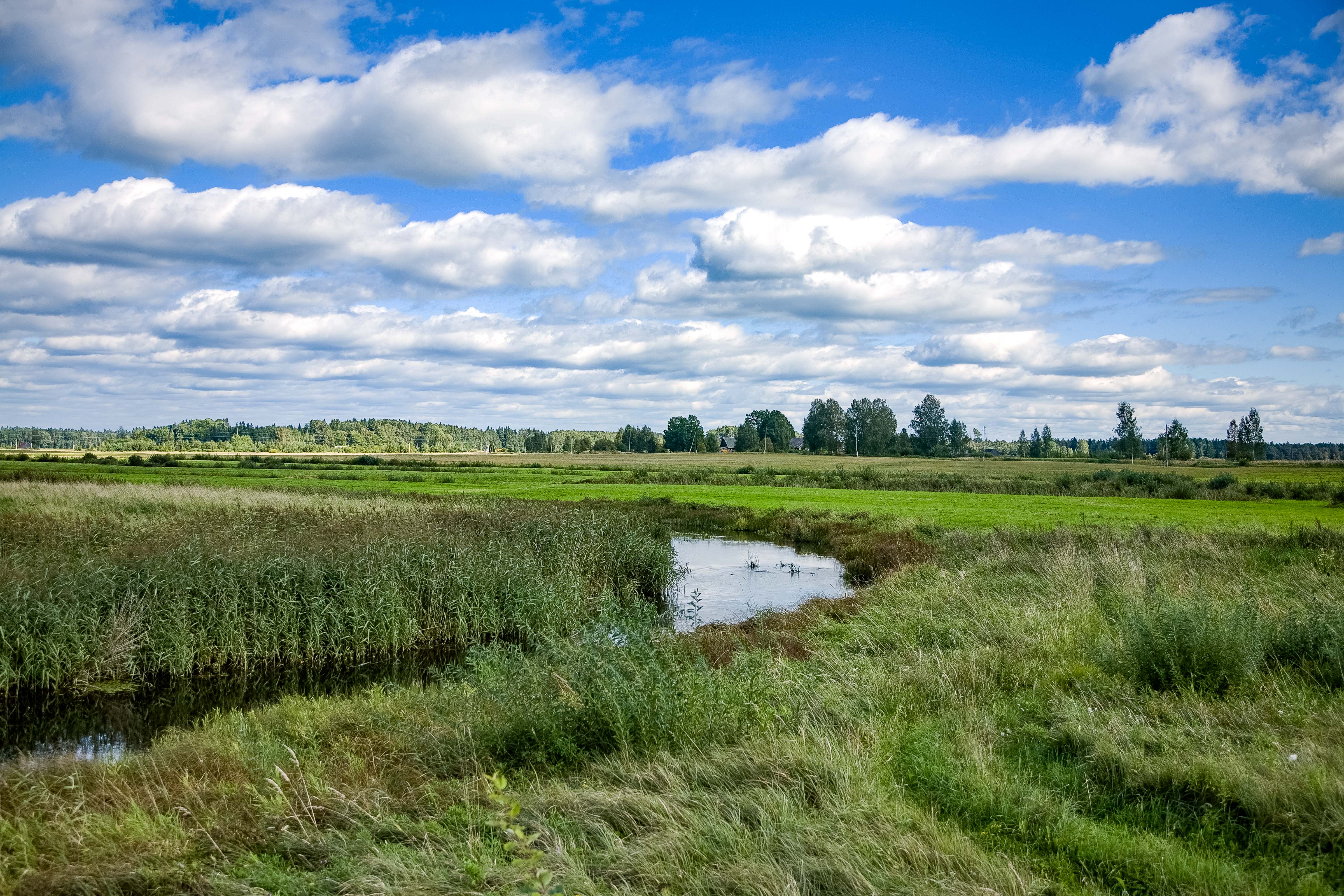 Latvia, Valka Prov, Landscape, 2010, IMG_1579