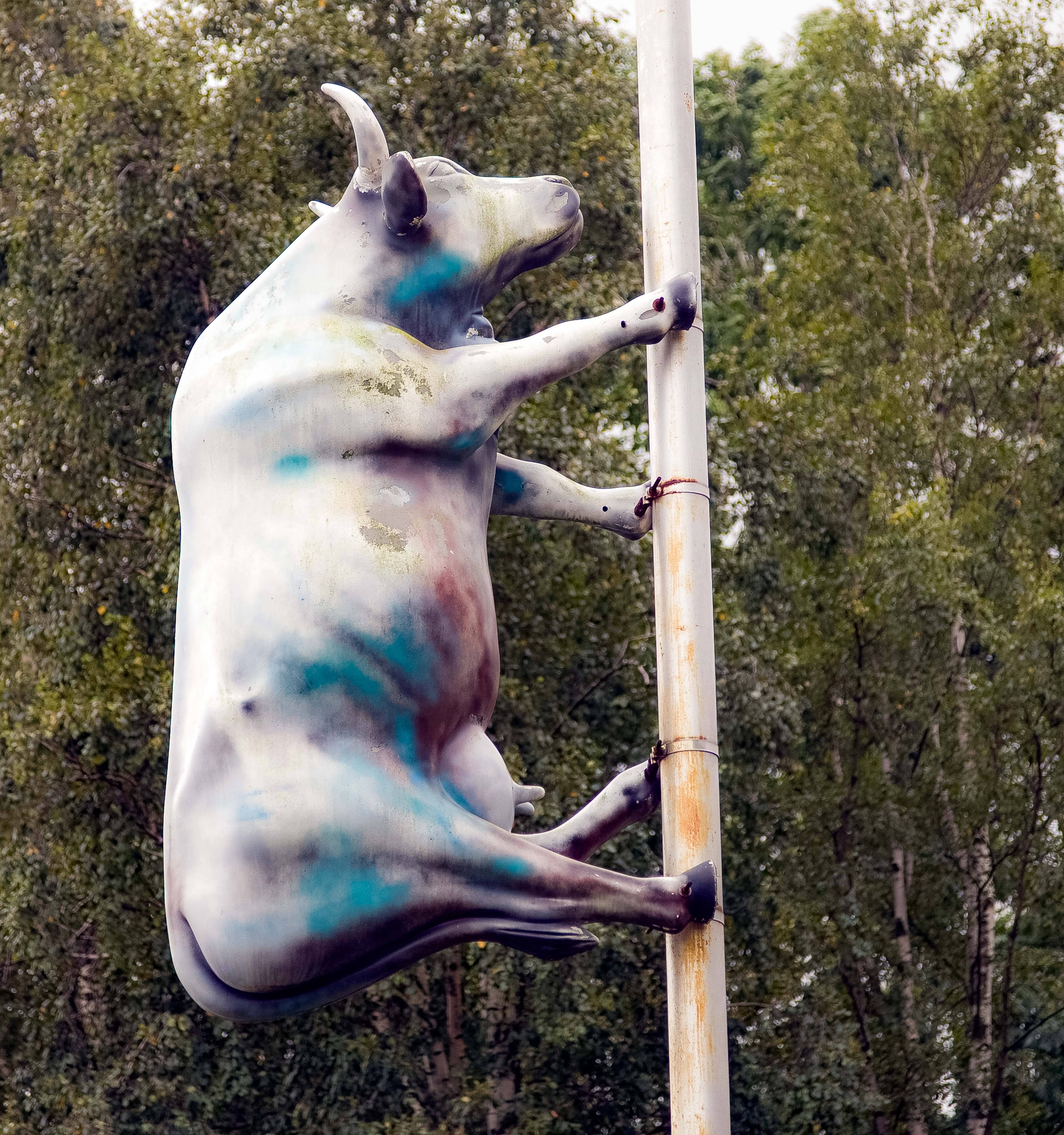 Latvia, Ventspils City Prov, Cow Sculpture, 2010, IMG_2203 C U1