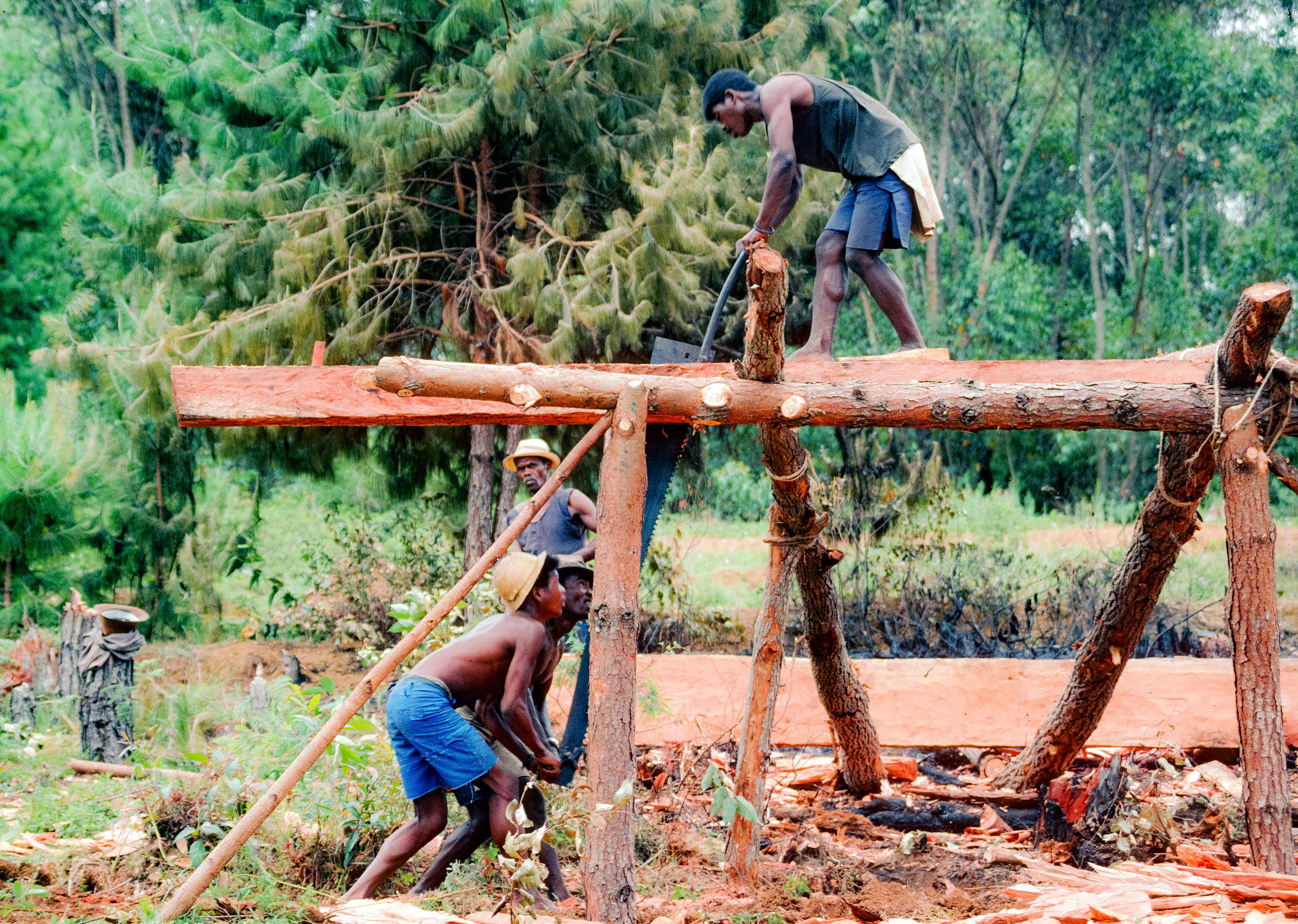 Madagascar, Woodcutters, 2003