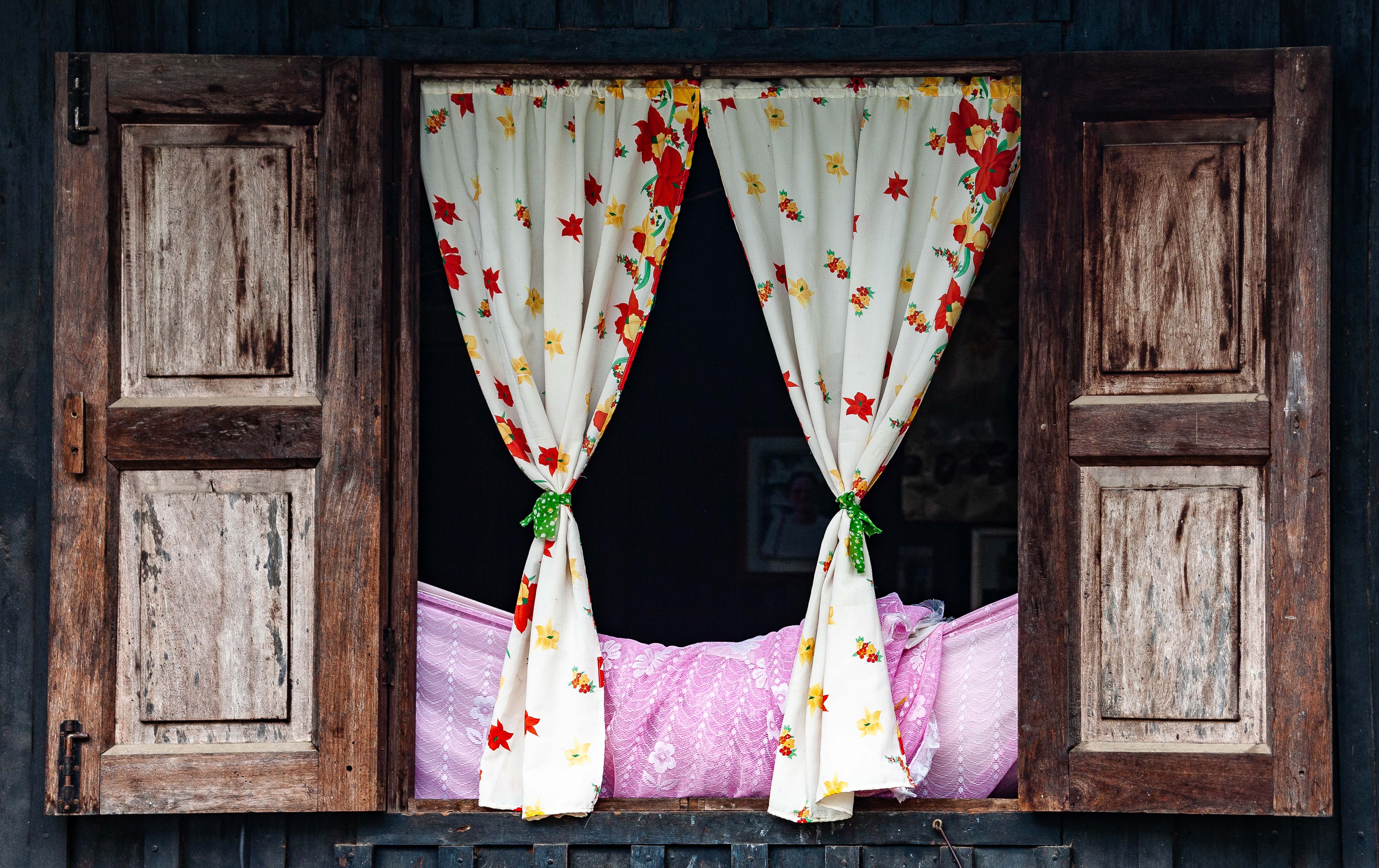 Myanmar, Shan Prov, Country Window, 2009, IMG 3221