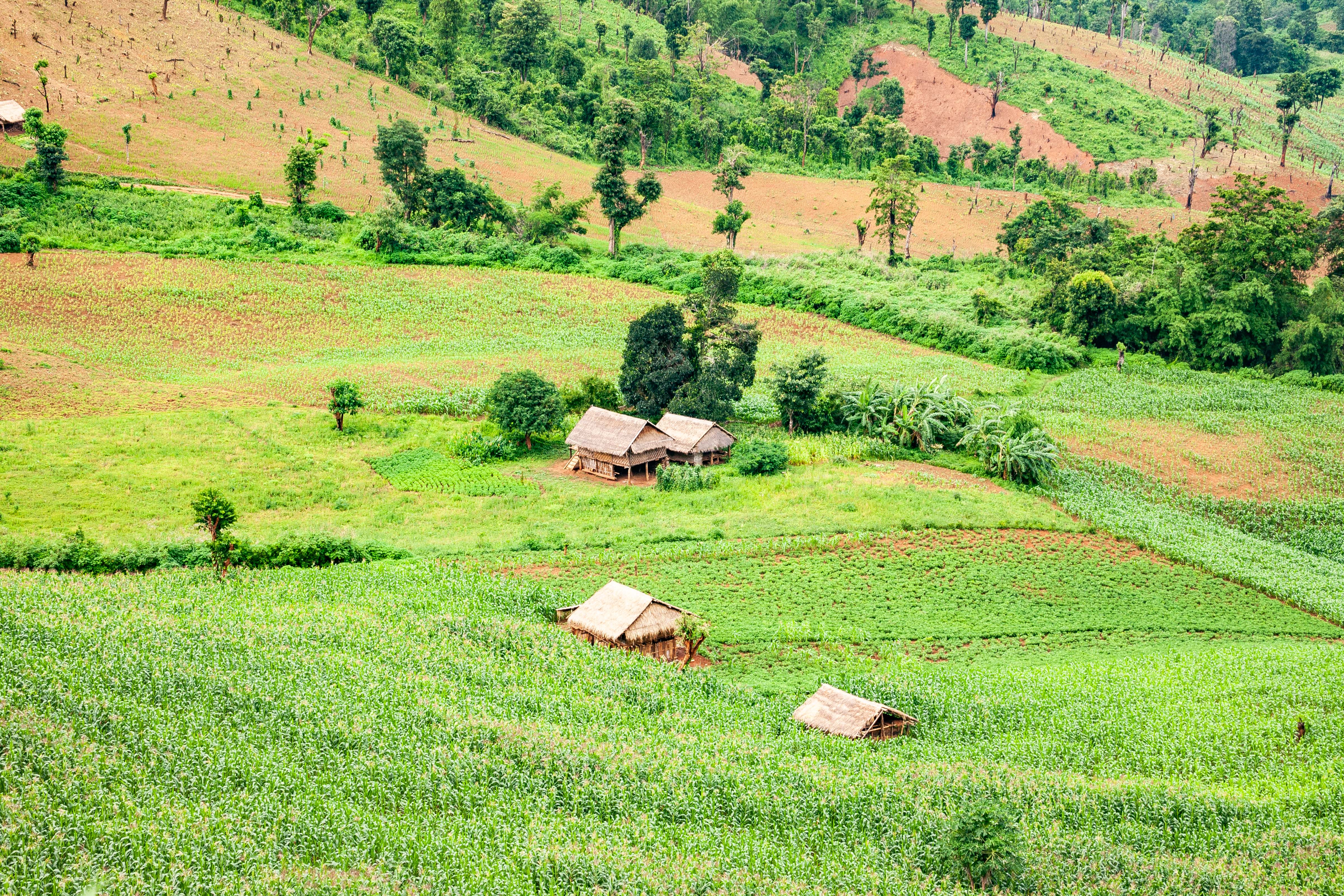 Myanmar, Shan Prov, Farming Landscape, 2009, IMG 4238