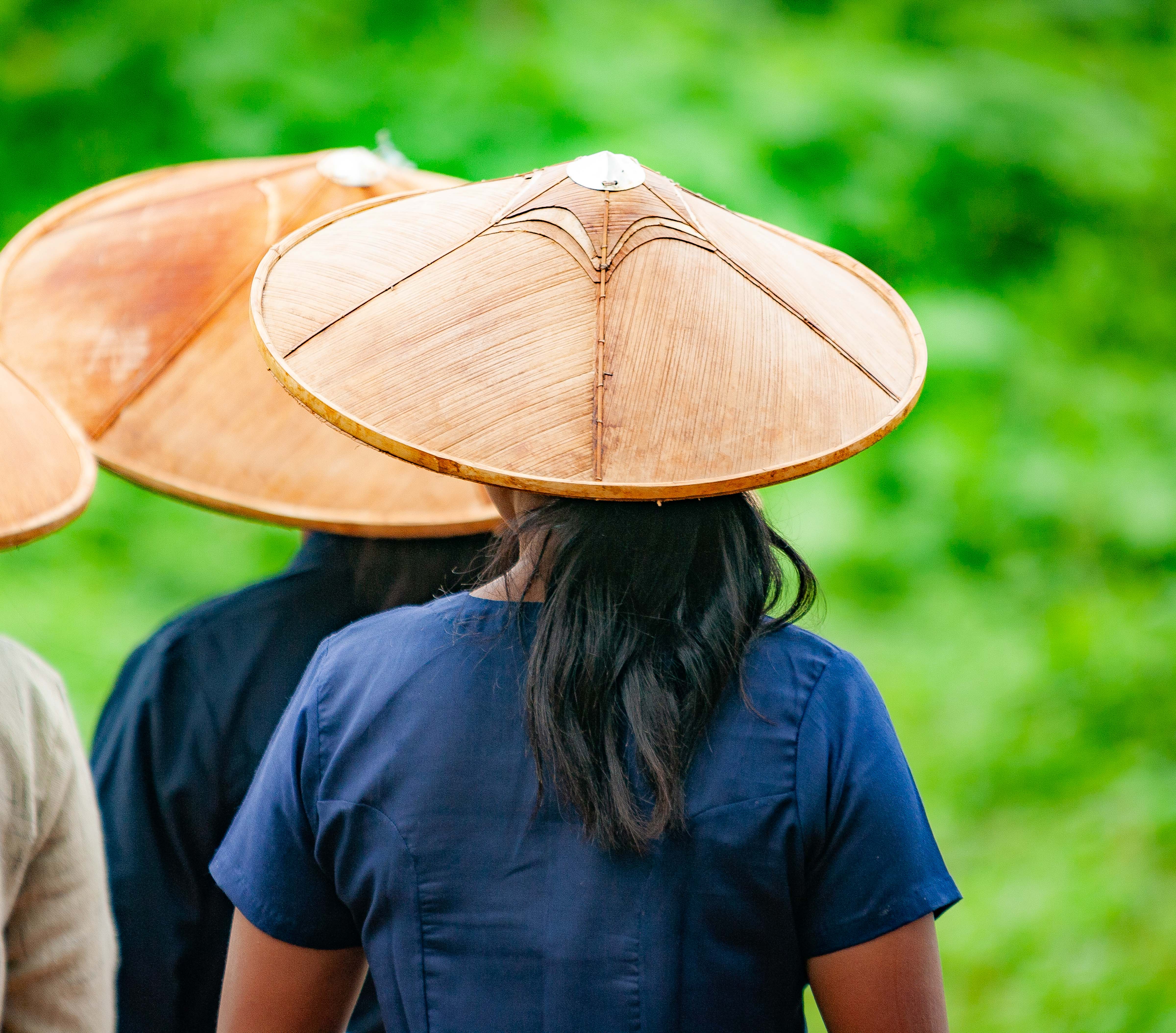 Myanmar, Shan Prov, Rice Hats, 2009, IMG 4497