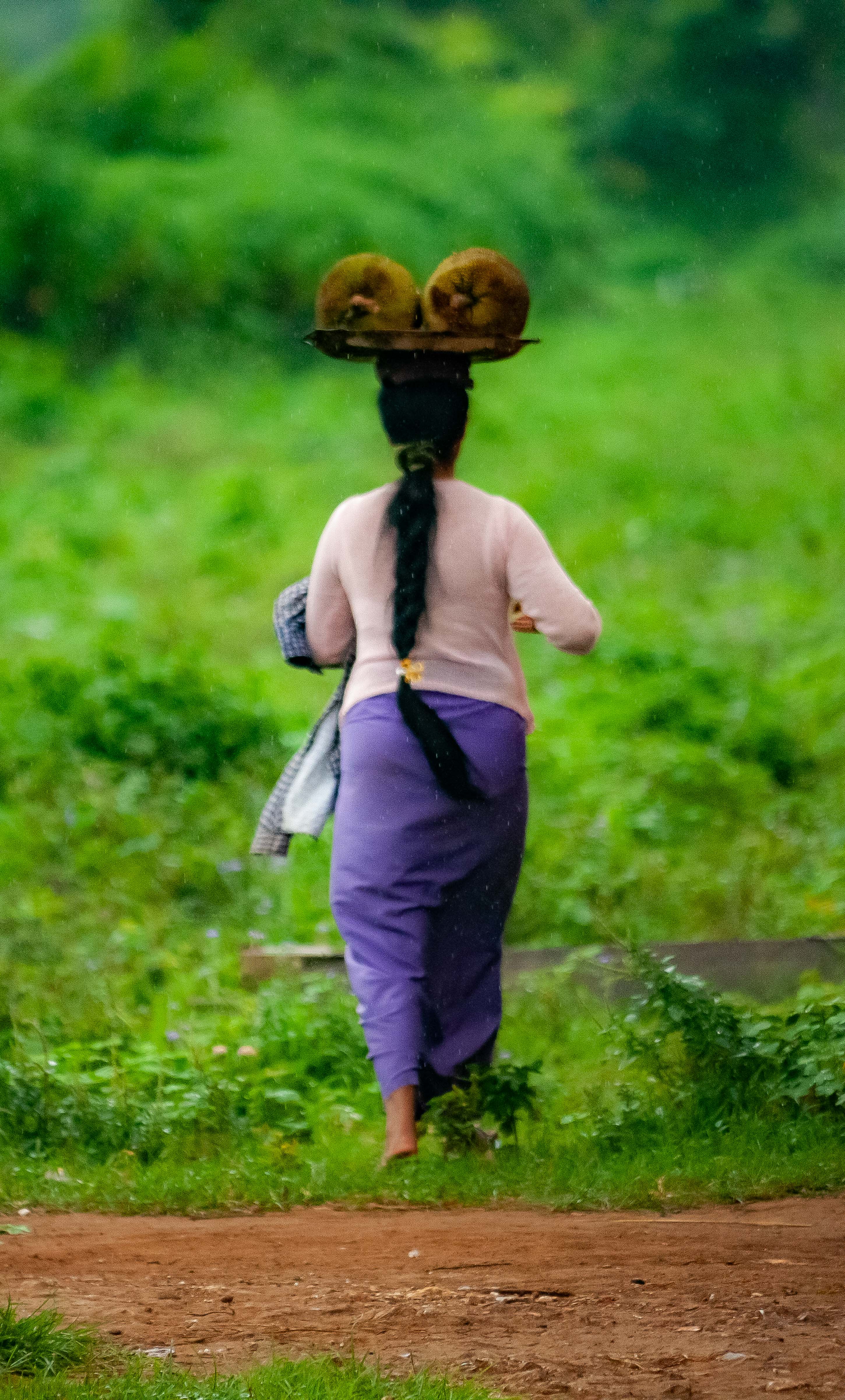 Myanmar, Shan Prov, Woman Walking, 2009, IMG 4682