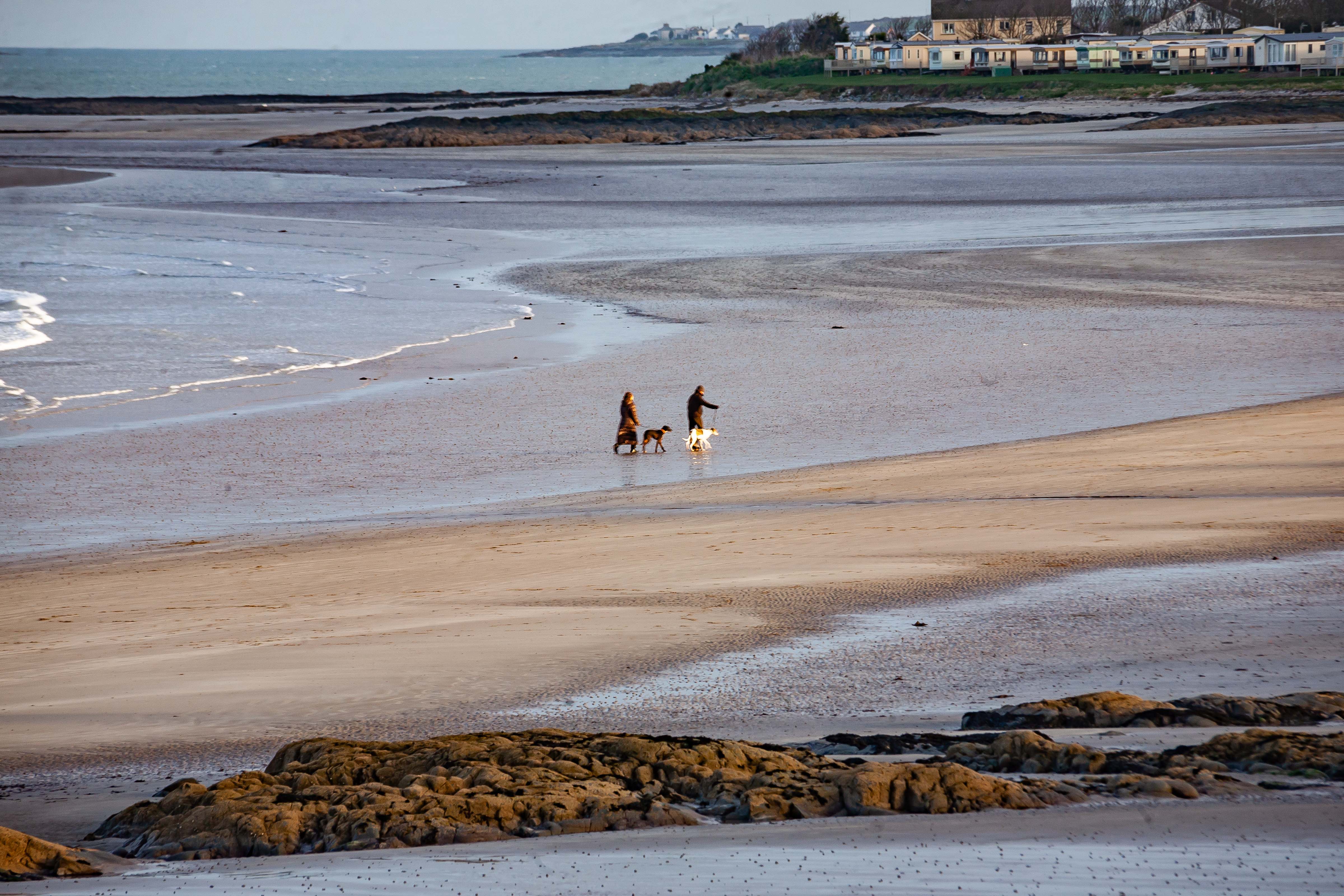 N Ireland, Ards Prov, Walking Dogs Beach, 2009, IMG 9971