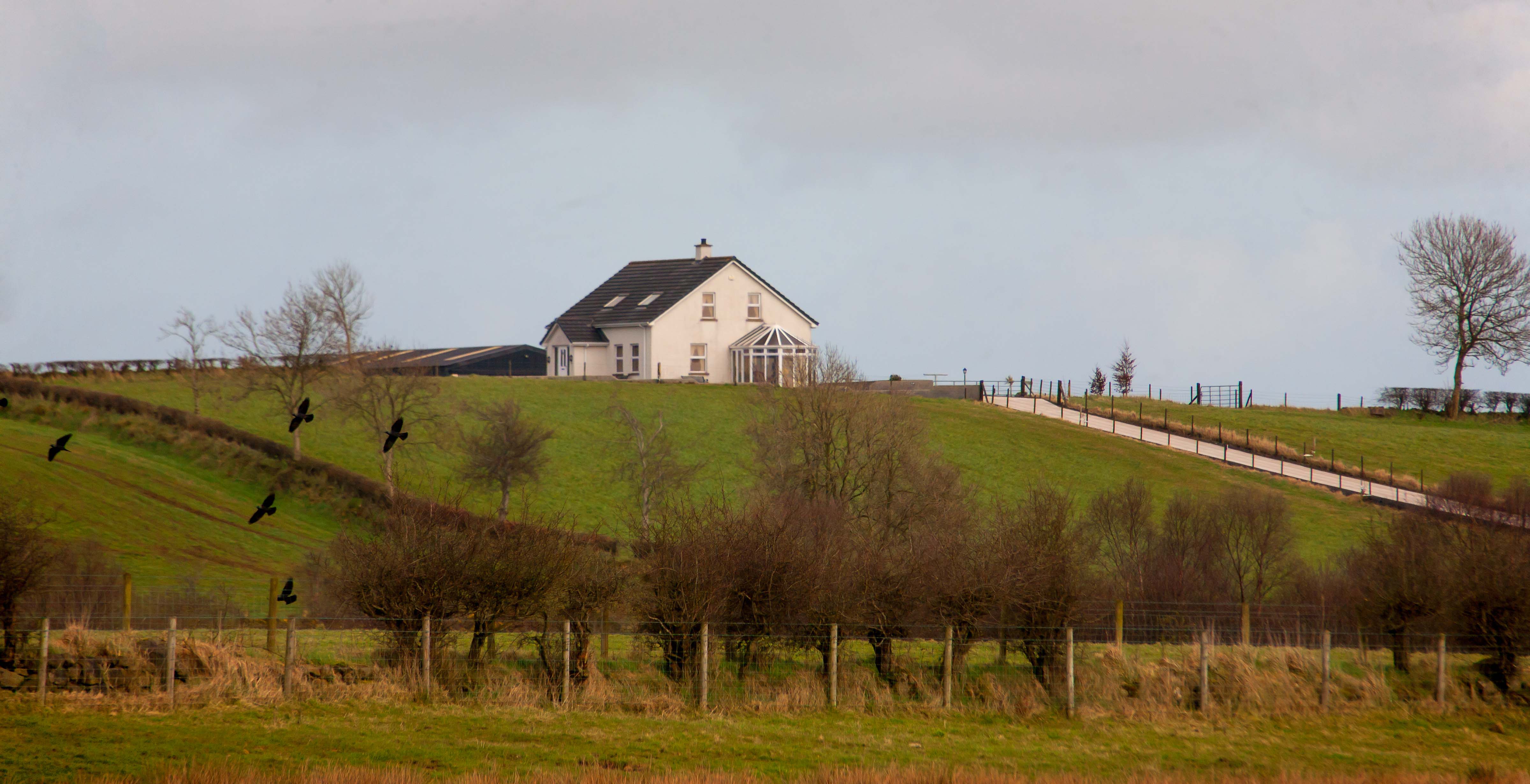 N Ireland, Balleymena Prov, Home Landscape, 2009, IMG 0095