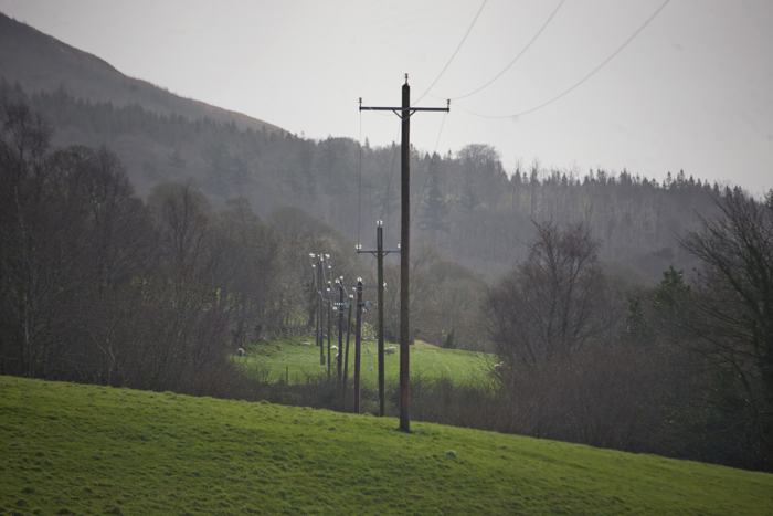 N Ireland, Louth Prov, Telephone Poles, 2009, IMG 9799