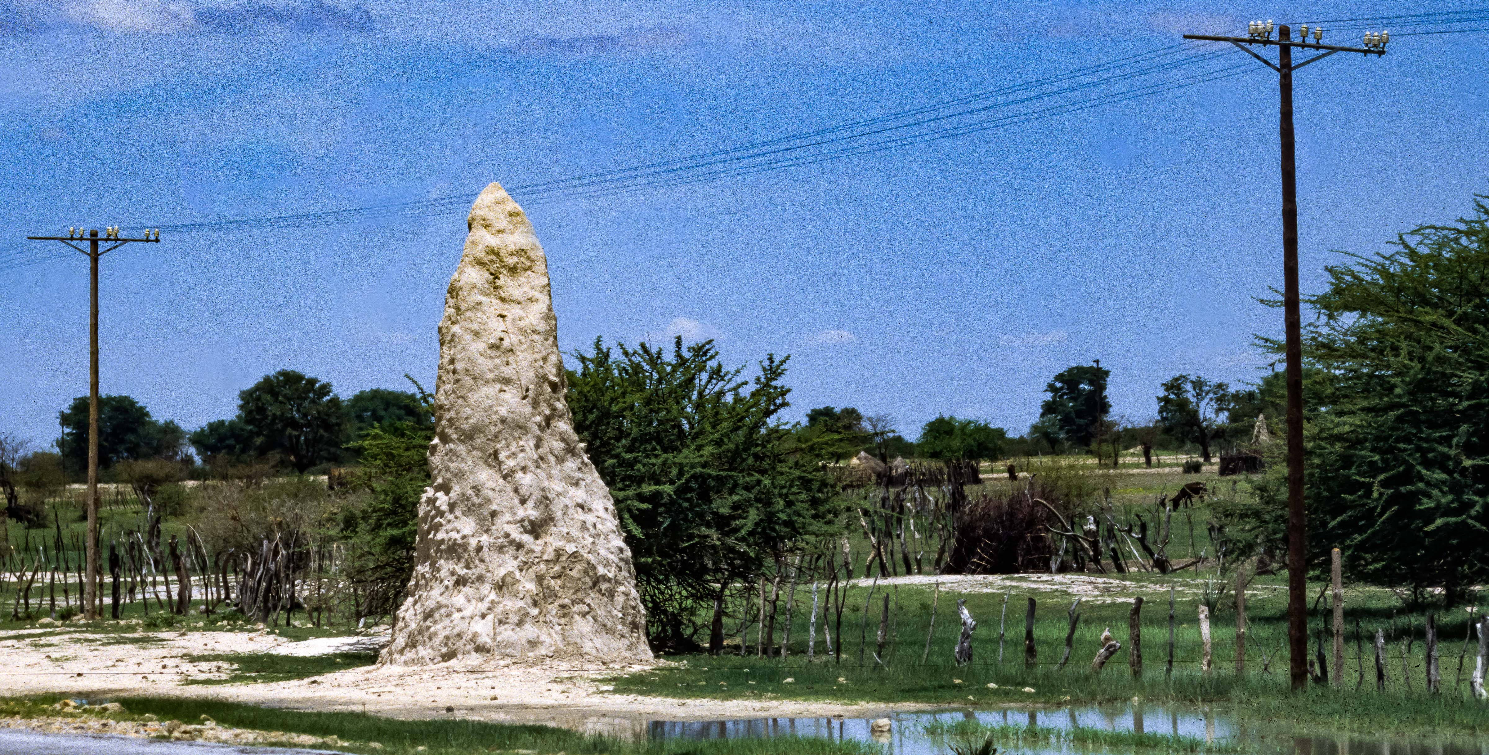 Namibia, Termite Mound, 2000