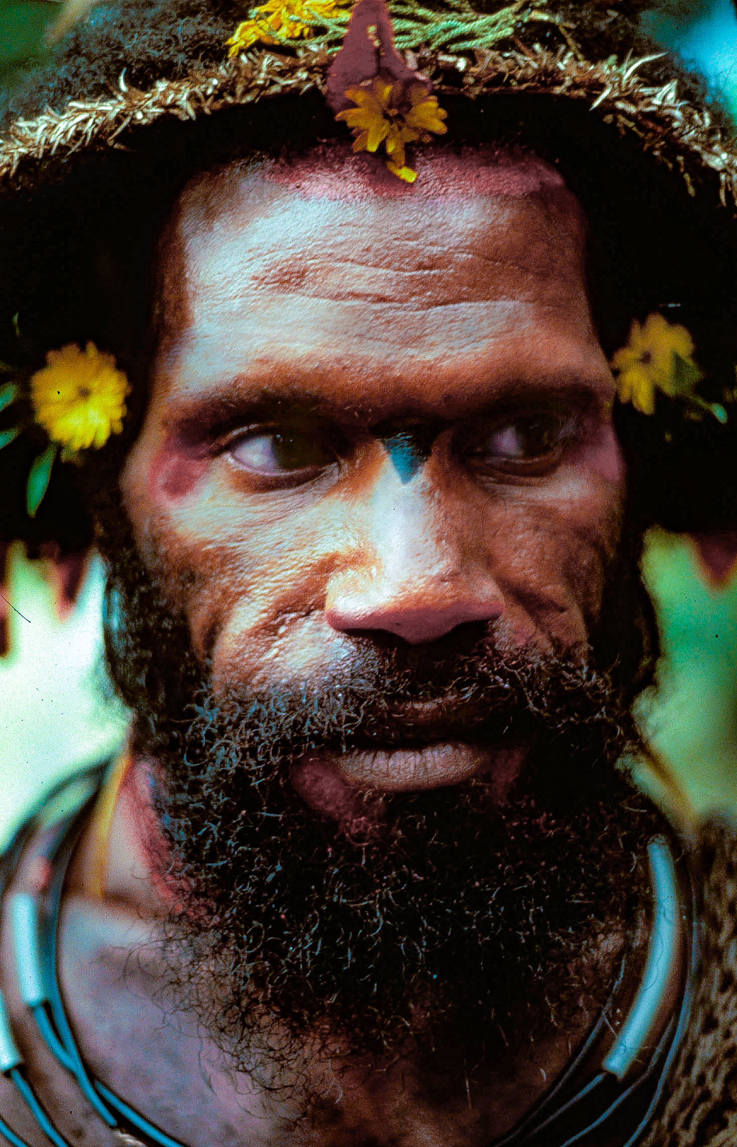 Papua New Guinea, Koroba, Wigman Yellow Flower, 1983