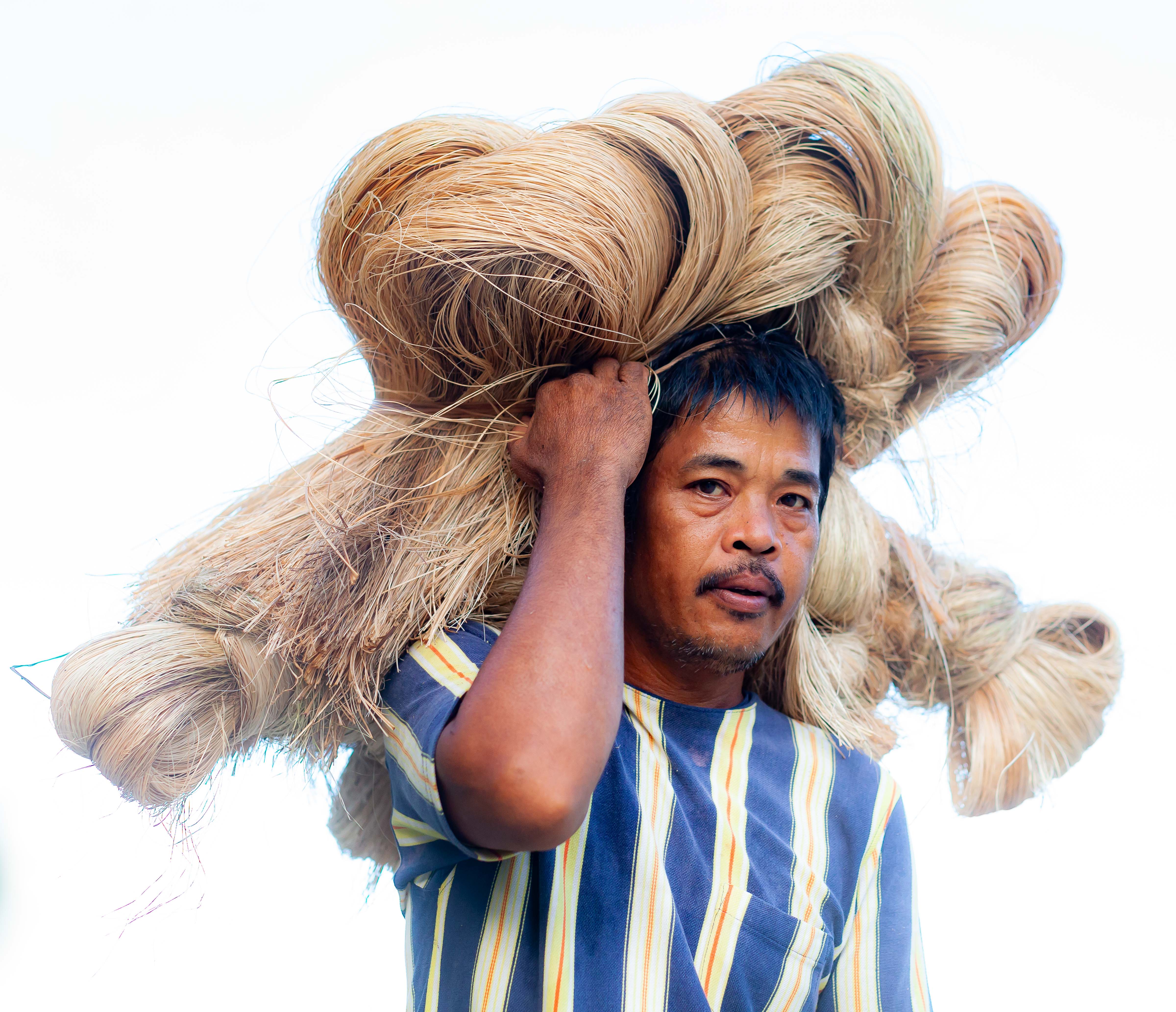 Philippines, Catanduanes Prov, Man With Sisal, 2011, IMG 0565