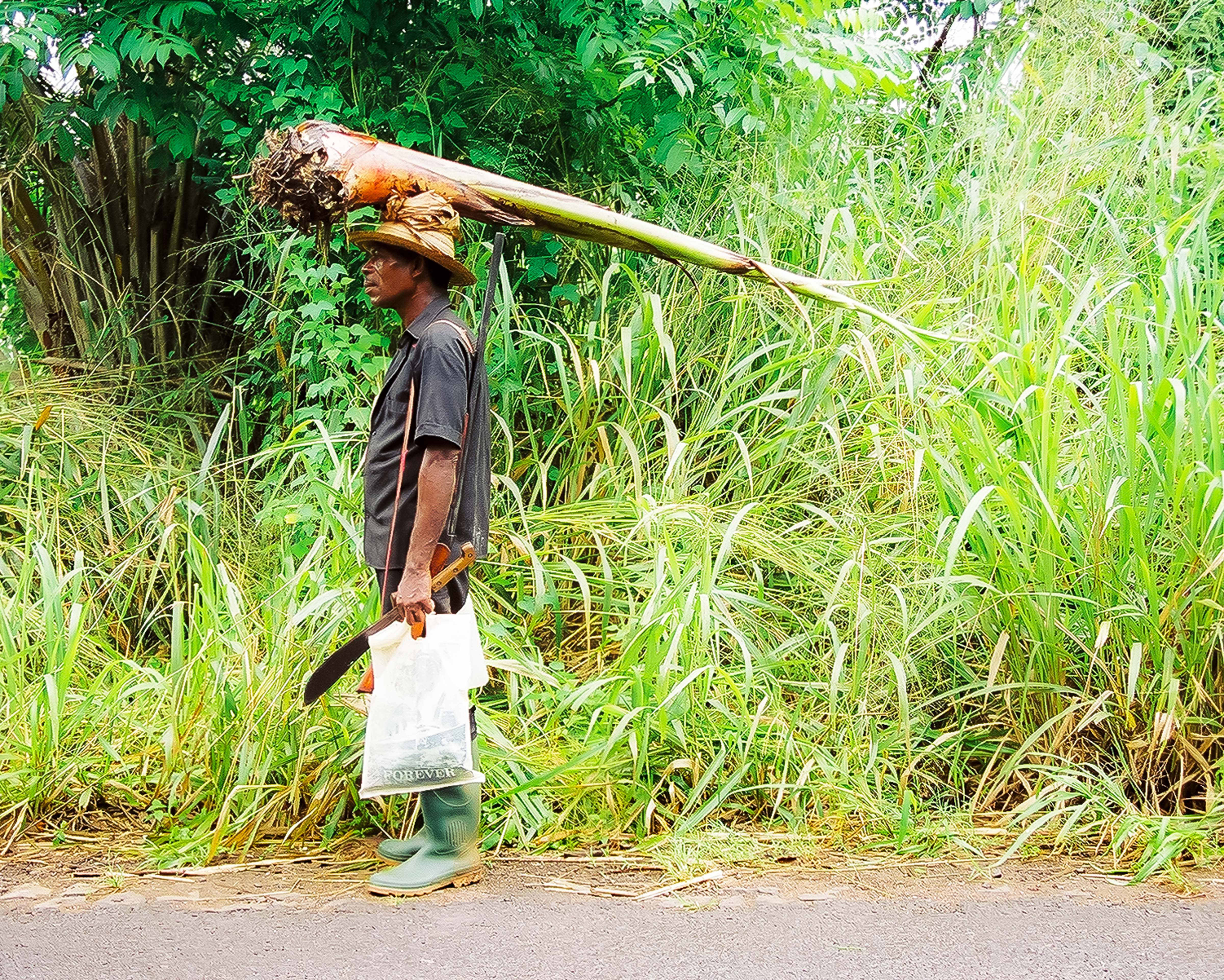 Sao Tome, Man With Tree On His Head, 2000