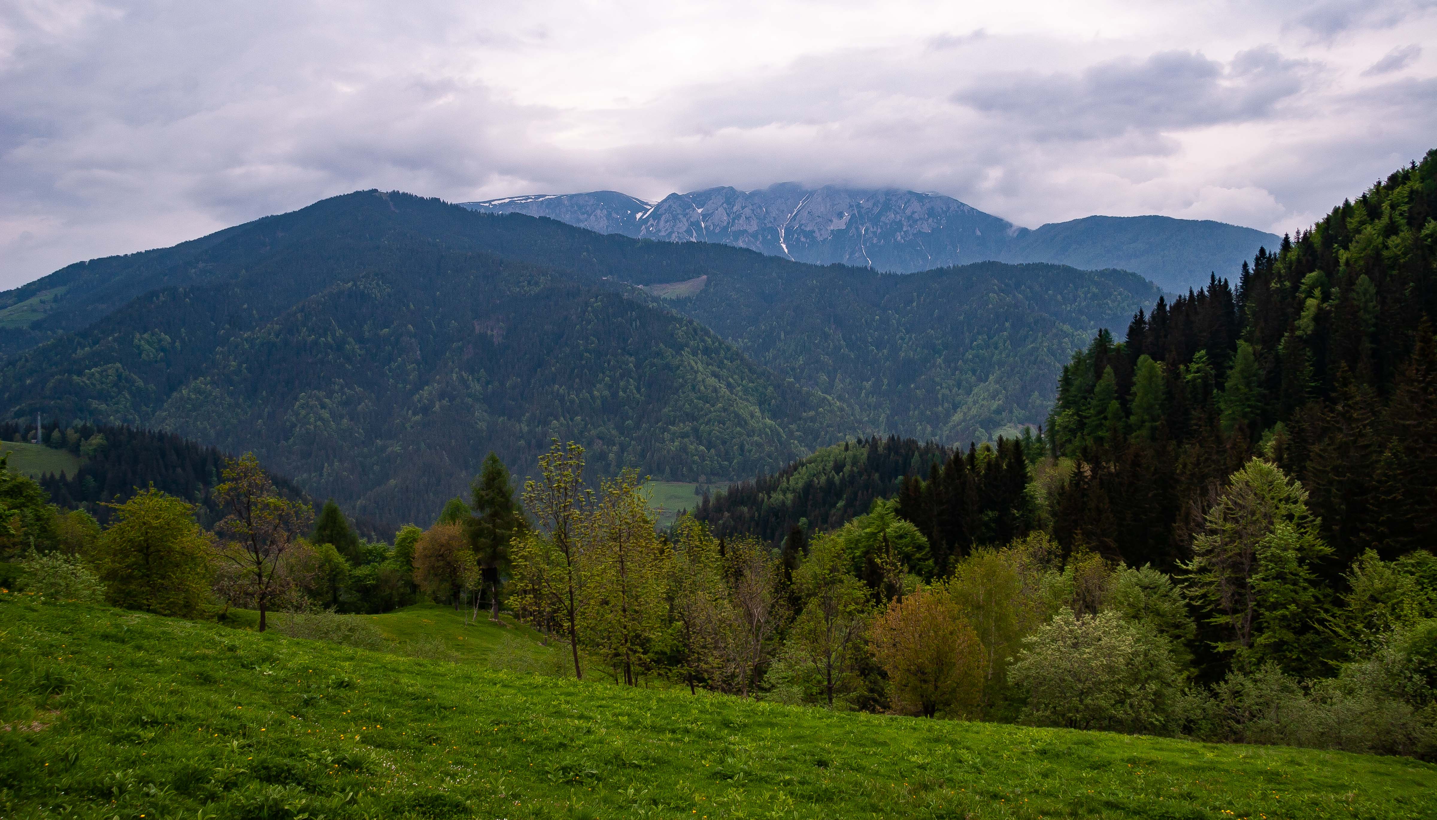 Slovenia, Crna Na Koroskem Prov, Landscape, 2006, IMG 8436