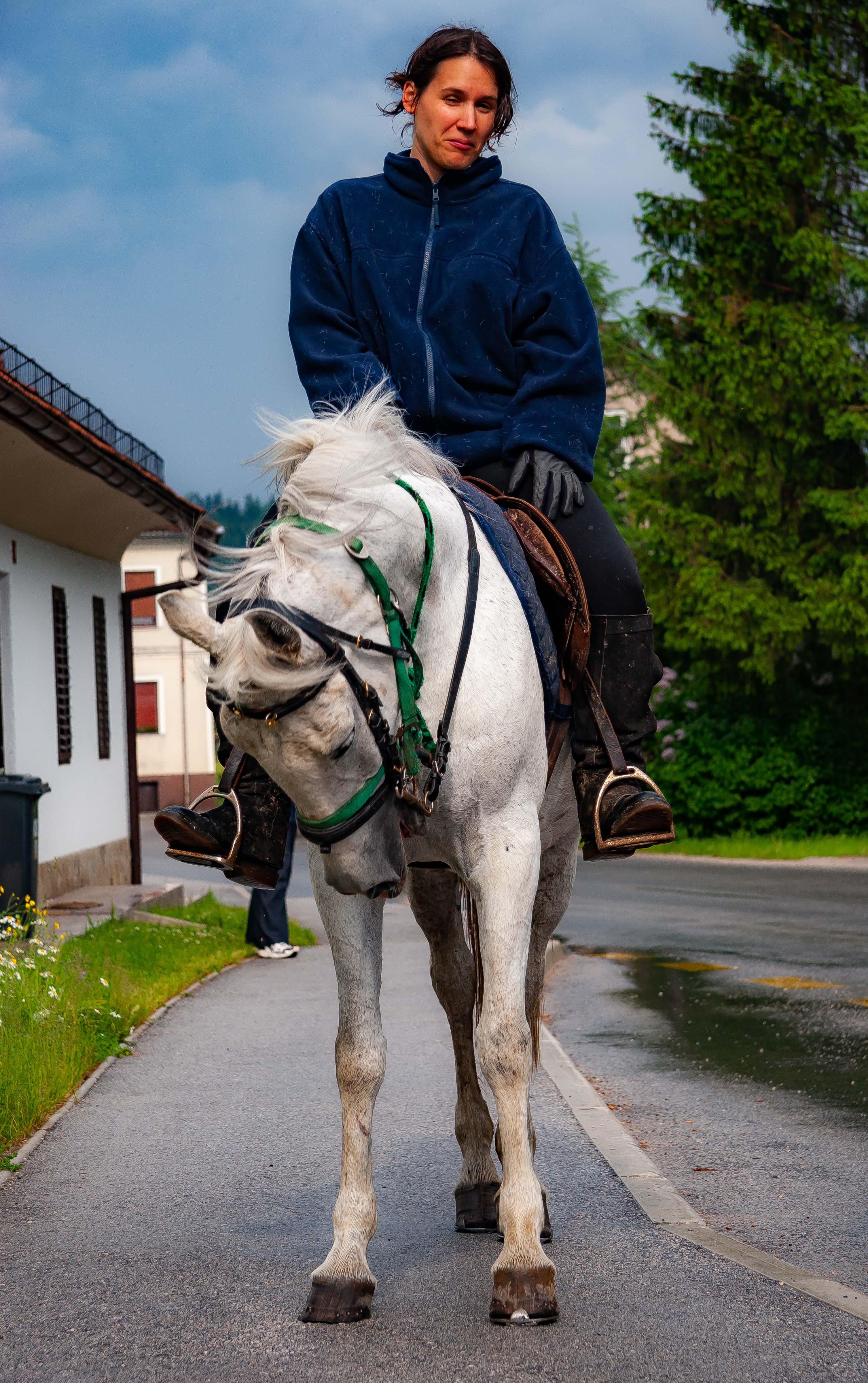 Slovenia, Gornji Grad Prov, Horseman, 2006, IMG 8310