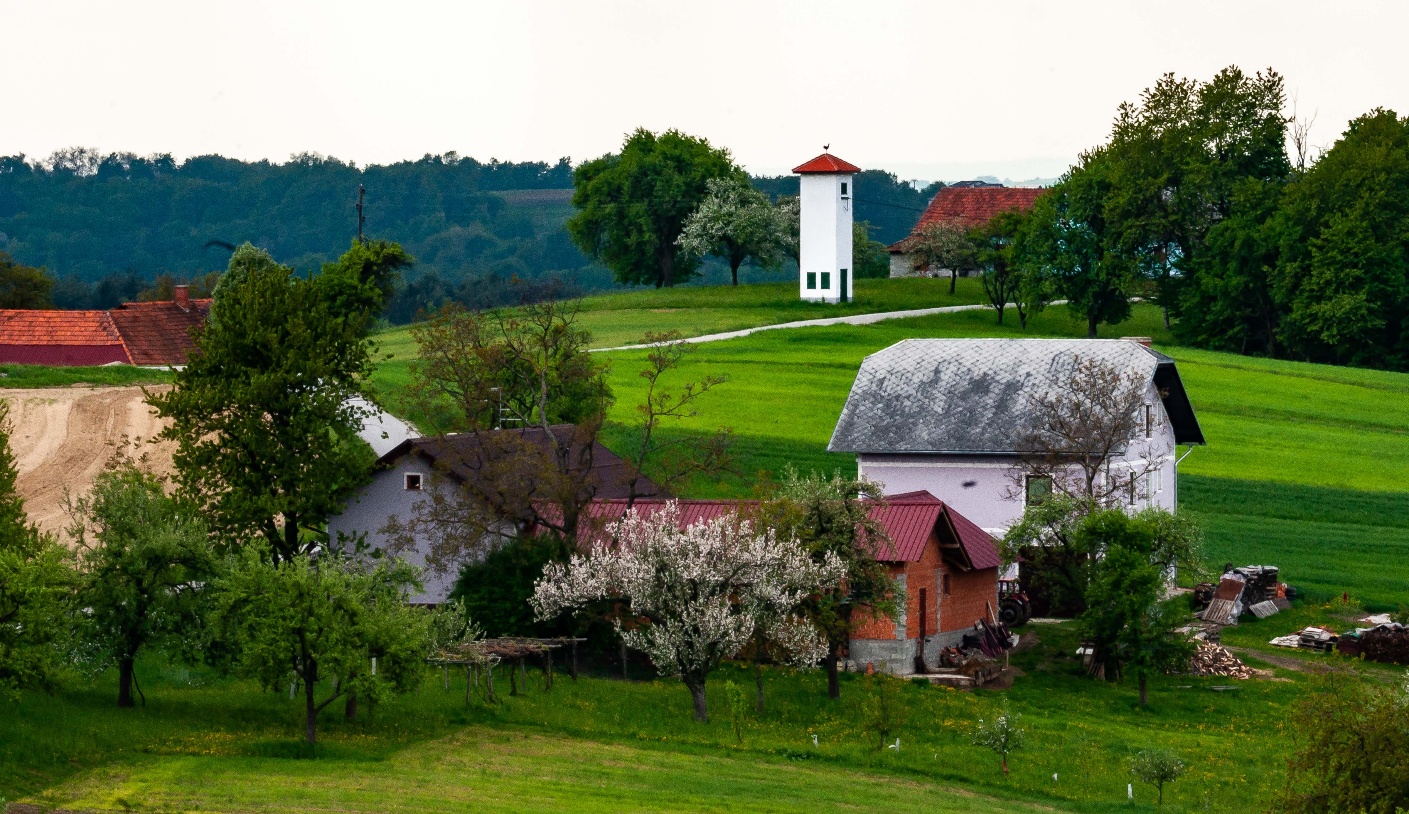 Slovenia, Grad Prov, Farm Scene, 2006, IMG 5175