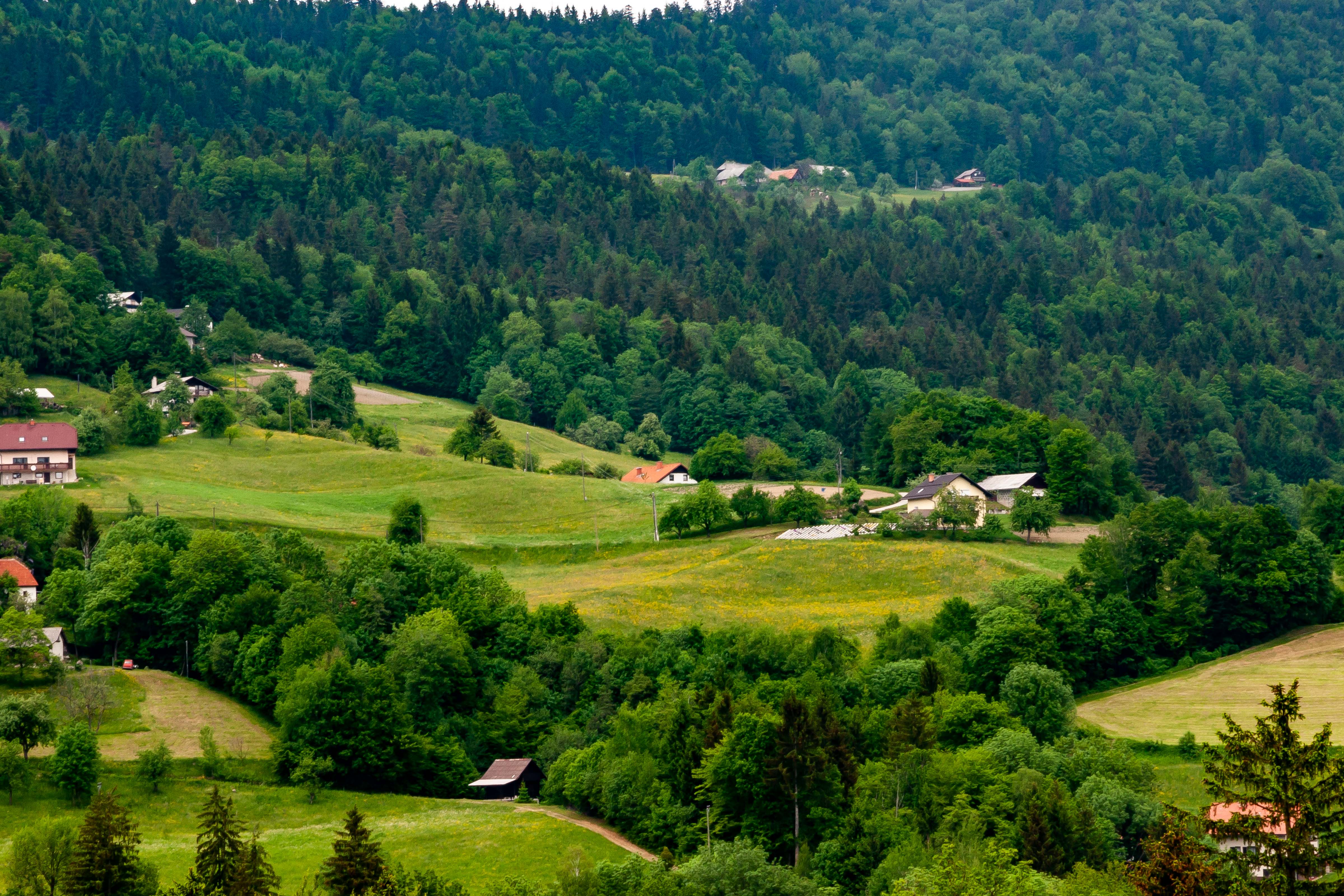 Slovenia, Hrastnik Prov, Countryside, 2006, IMG 7725