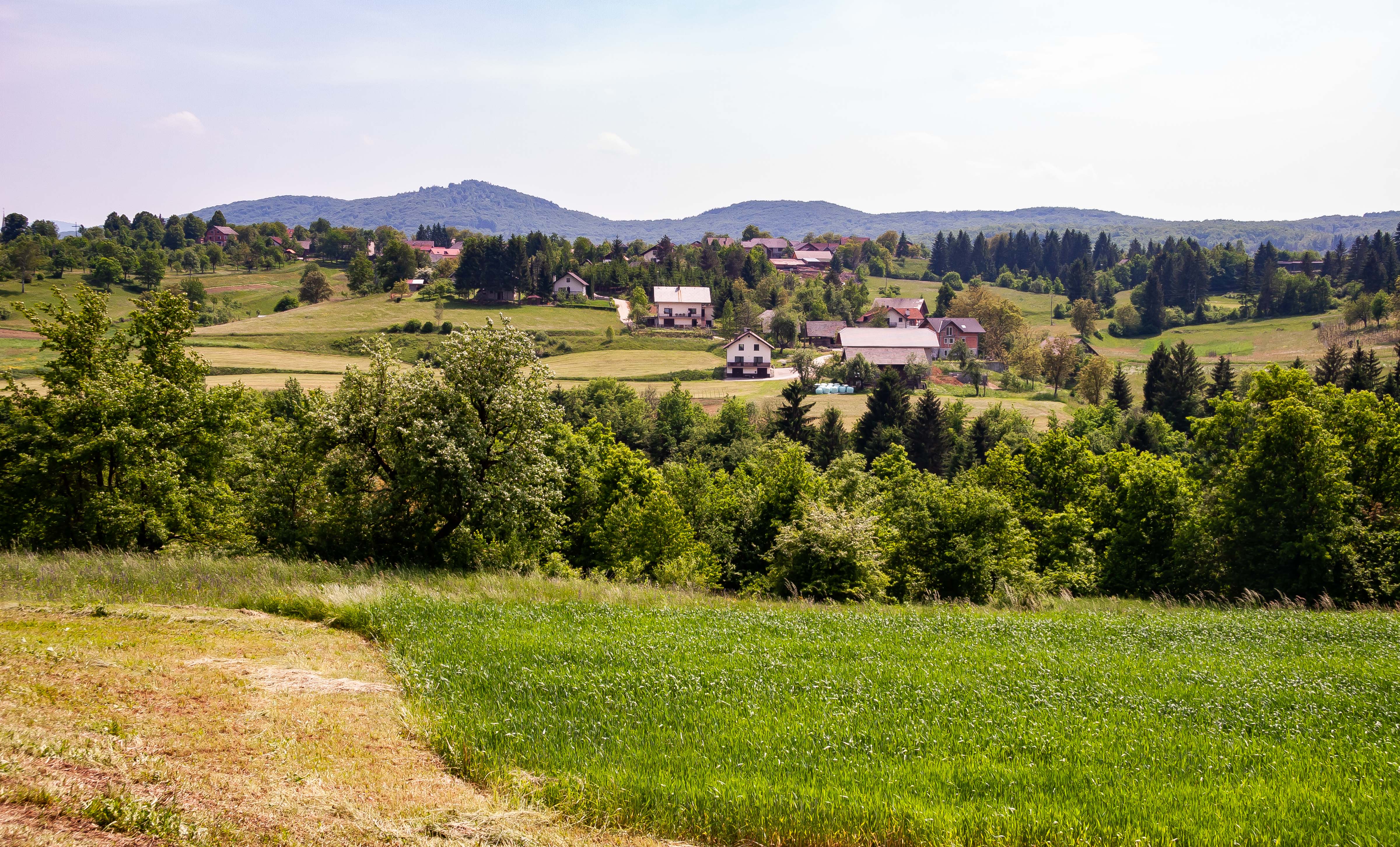 Slovenia, Ivancna Gorica Prov, Farm Land, 2006, IMG 7540