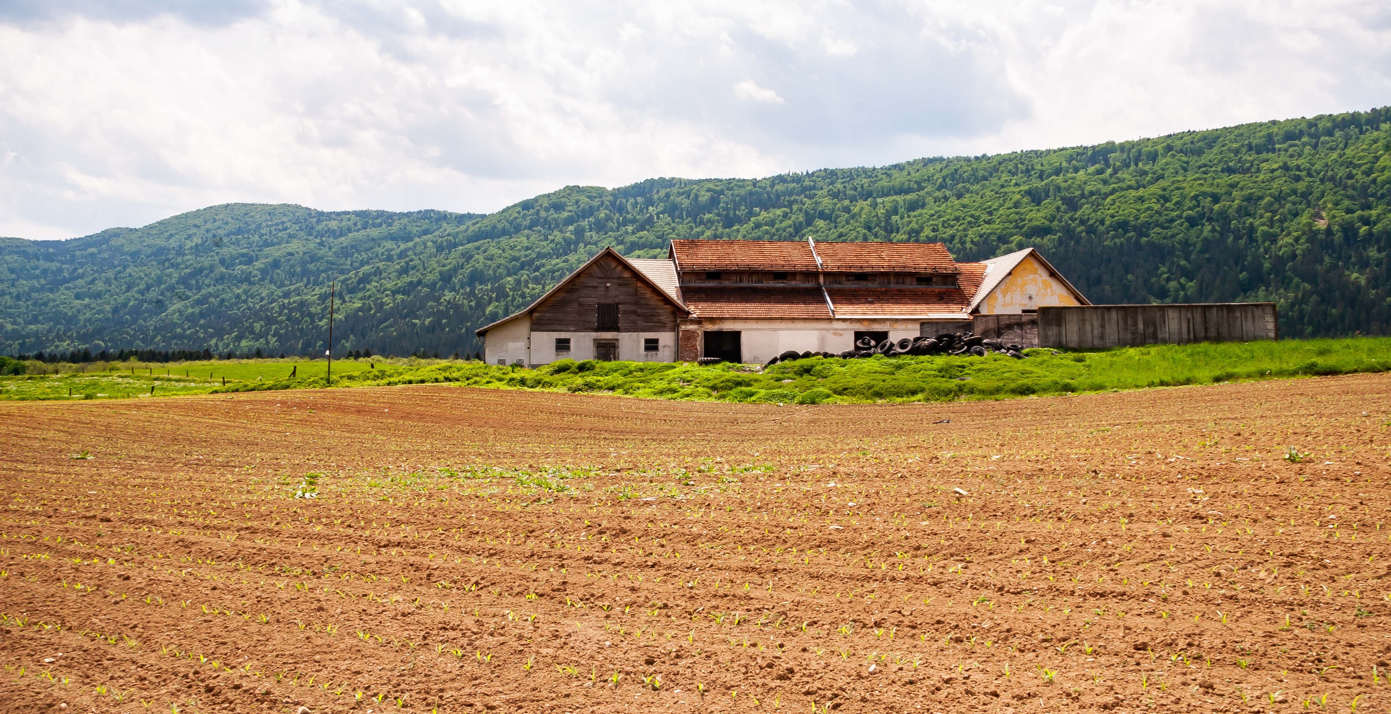 Slovenia, Kocevje Prov, Farm, 2006, IMG 7265