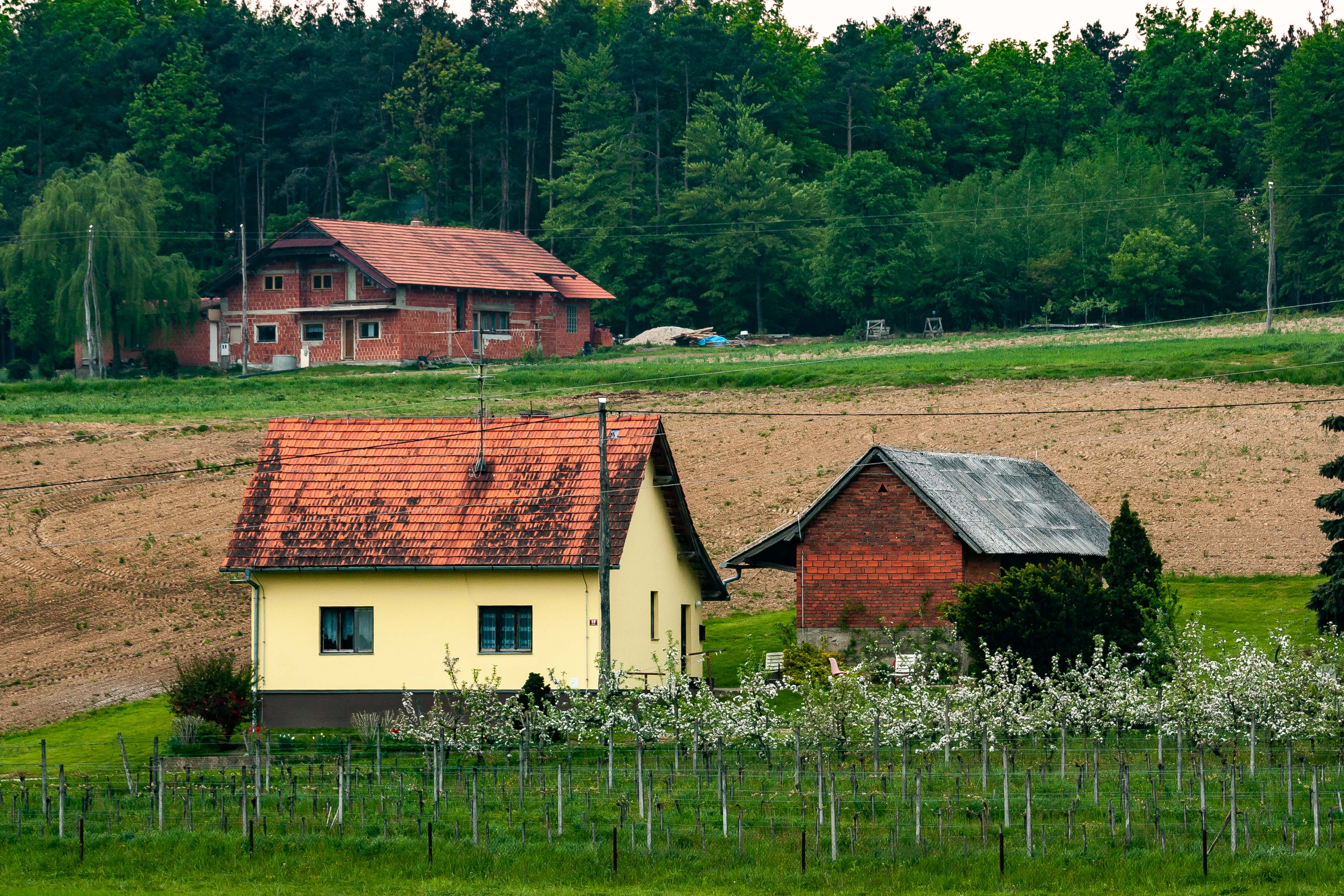 Slovenia, Kuzma Prov, Farm House, 2006, IMG 5102