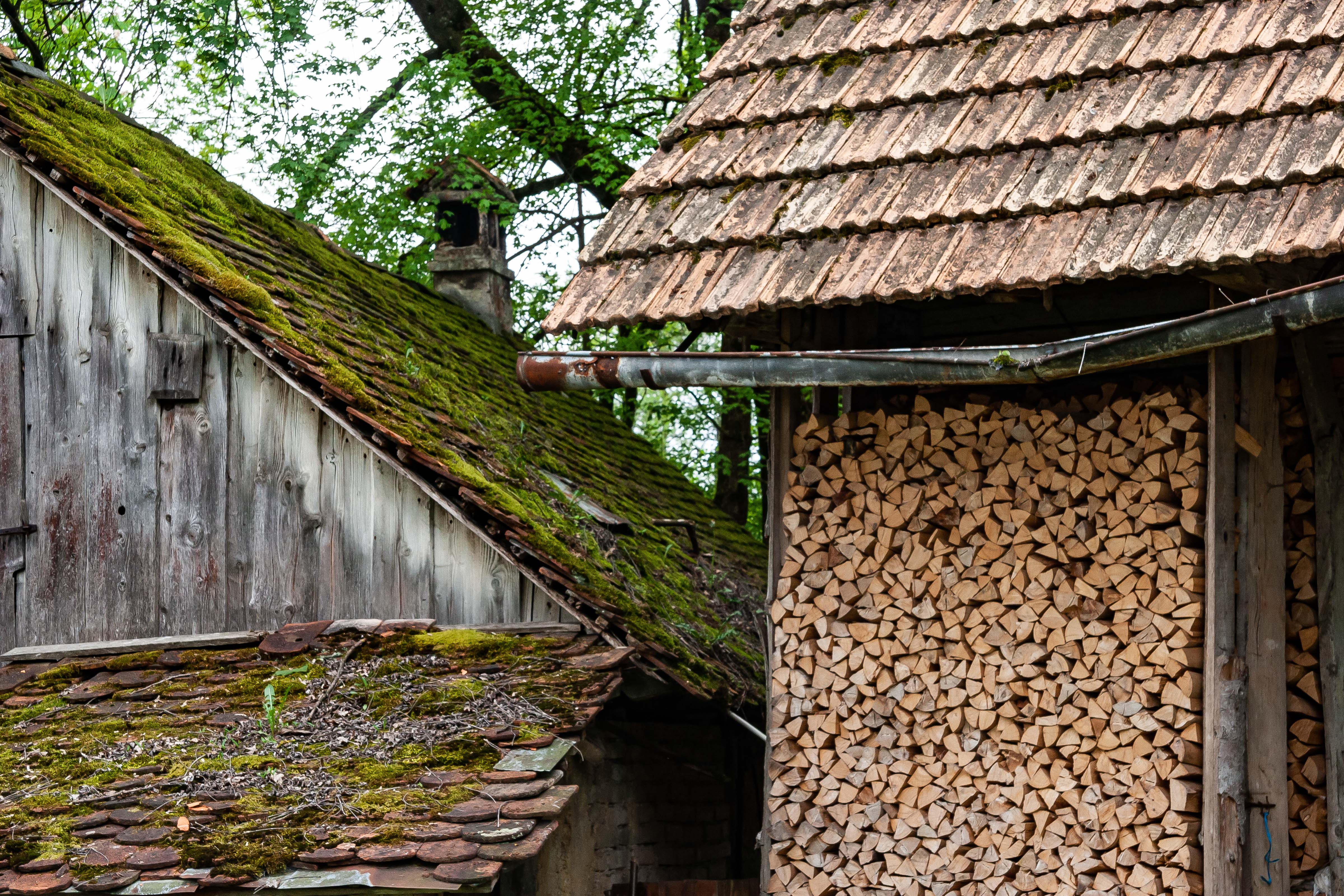 Slovenia, Ribnica Prov, Wood Pile And Sheds, 2006, IMG 7154
