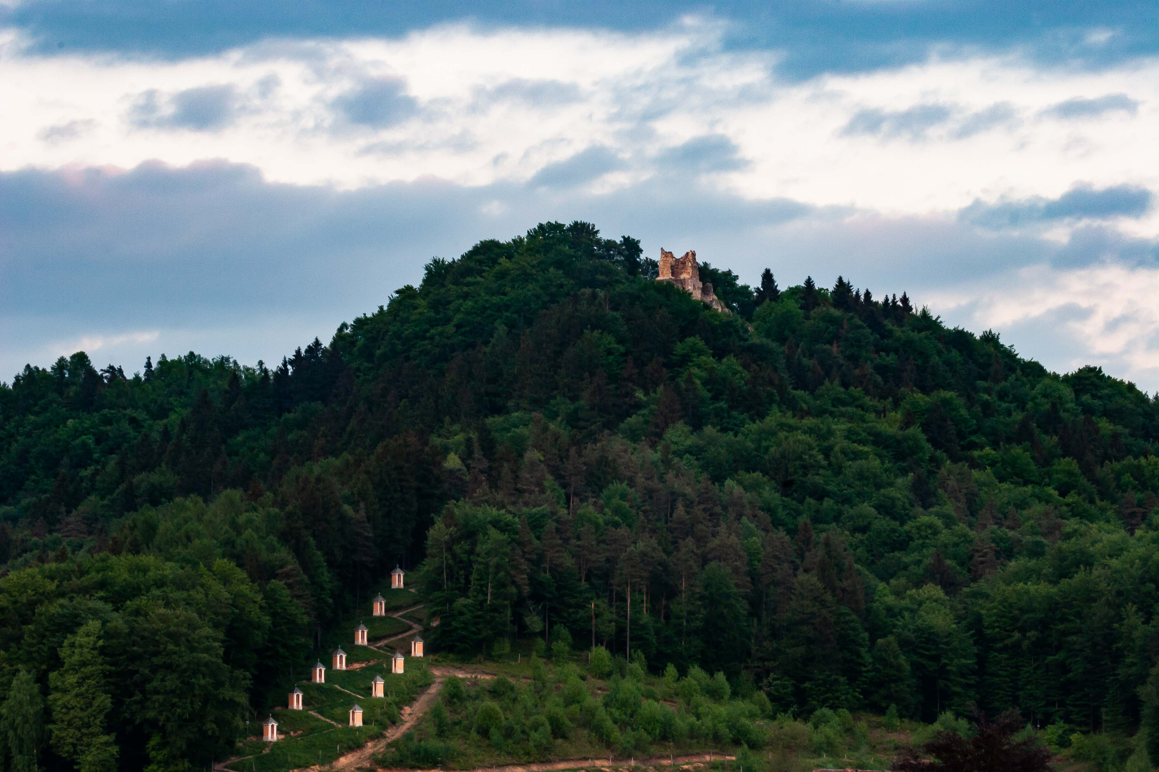Slovenia, Medvode Prov, Path And Castle, 2006, IMG 5935