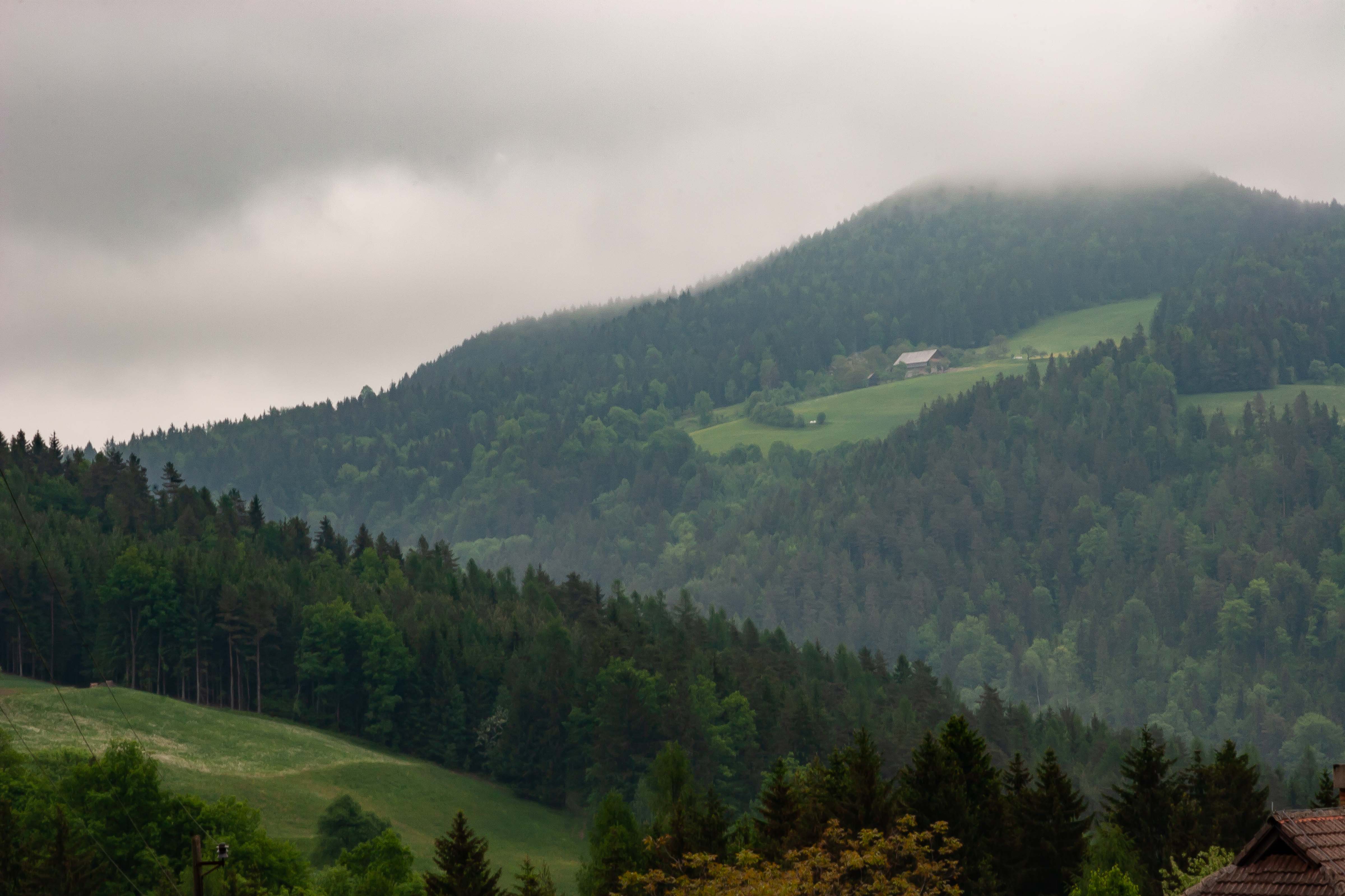 Slovenia, Mezica Prov, Mountainside, 2006, IMG 8454