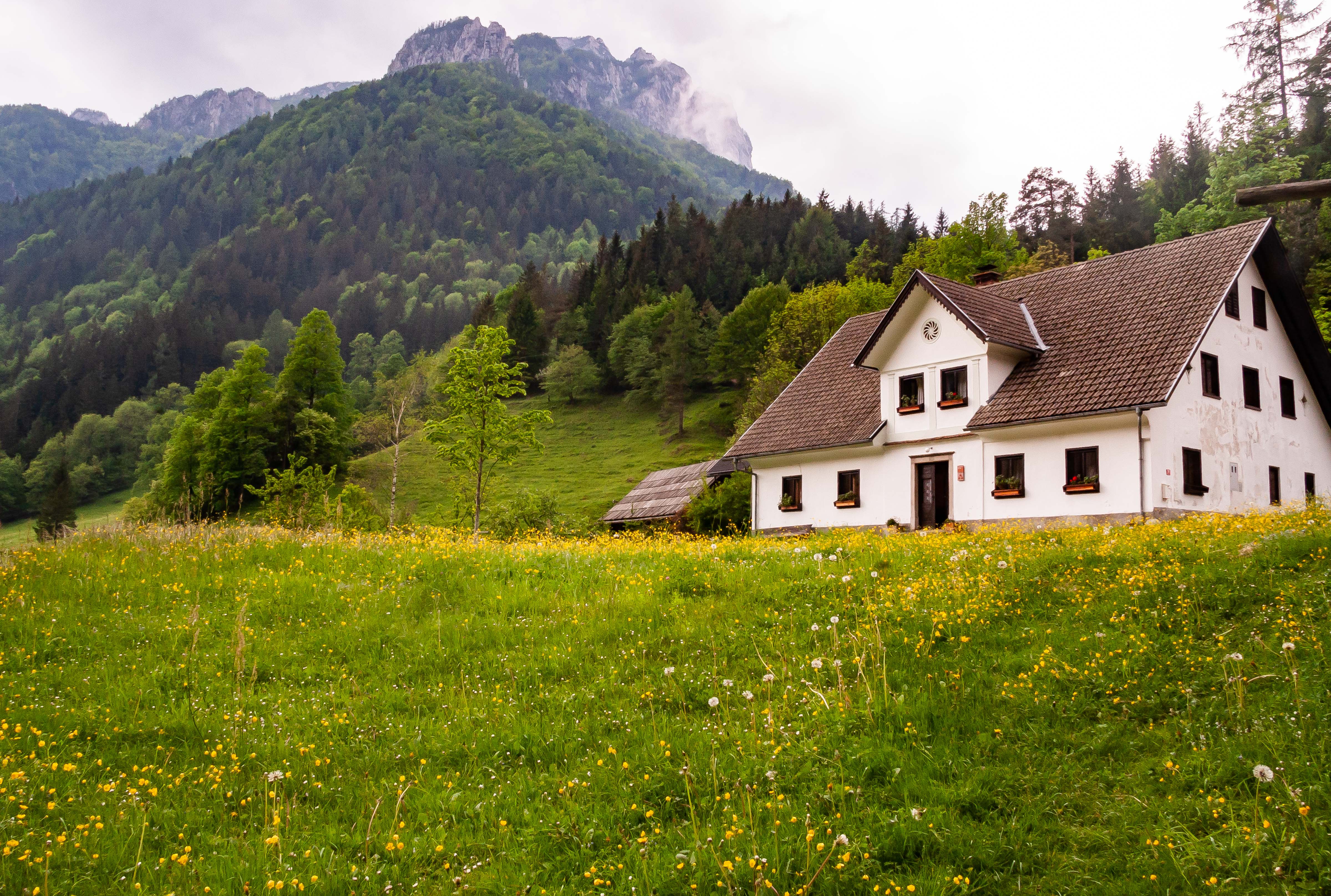 Slovenia, Solcava Prov, House And Mountain, 2006, IMG 8384