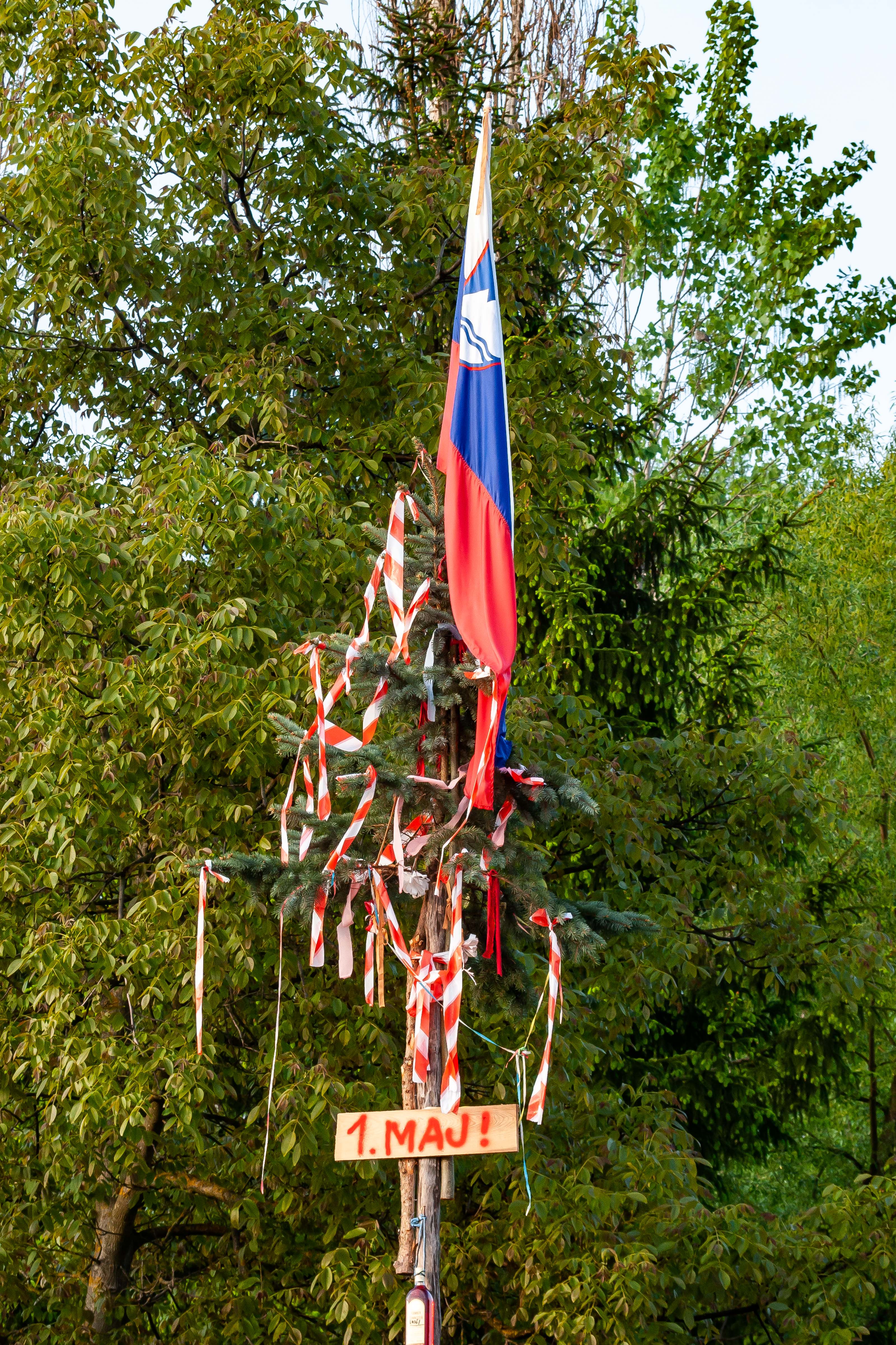 Slovenia, Velika Polana Prov, May Pole, 2006, IMG 5275