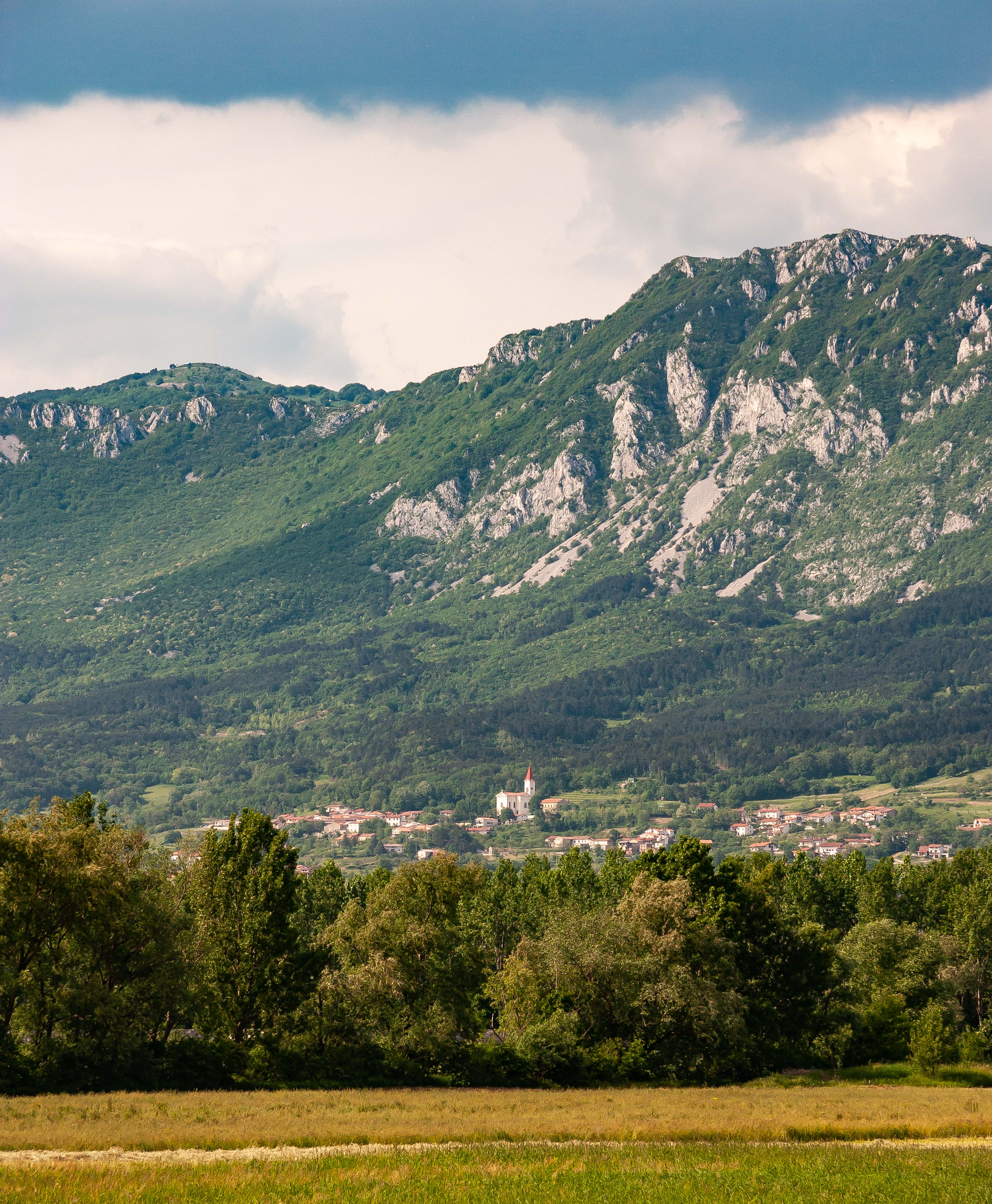 Slovenia, Vipava Prov, Landscape, 2006, IMG 6764