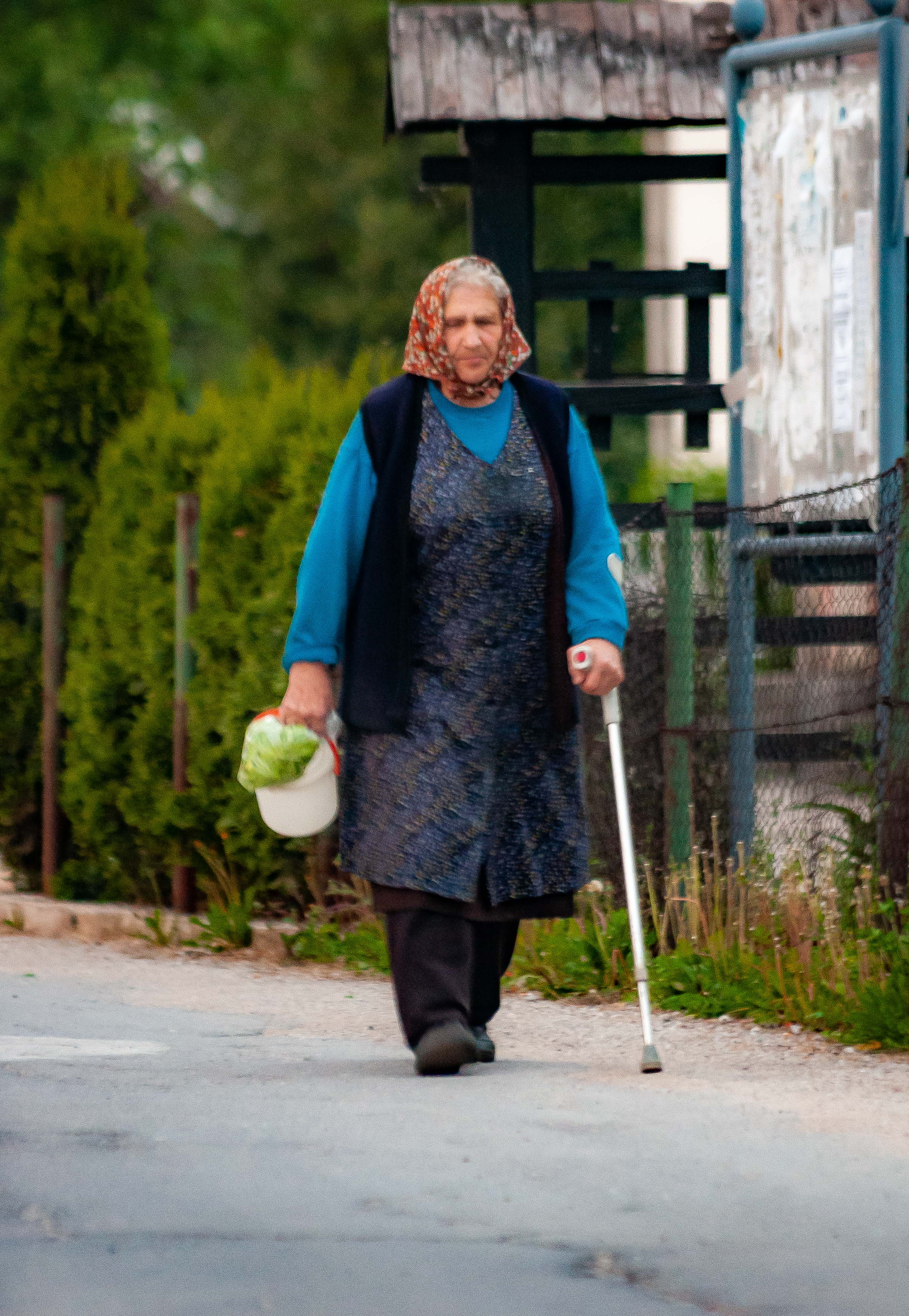 Slovenia, Zirovnica Prov, Woman With Cane, 2006, IMG 6401