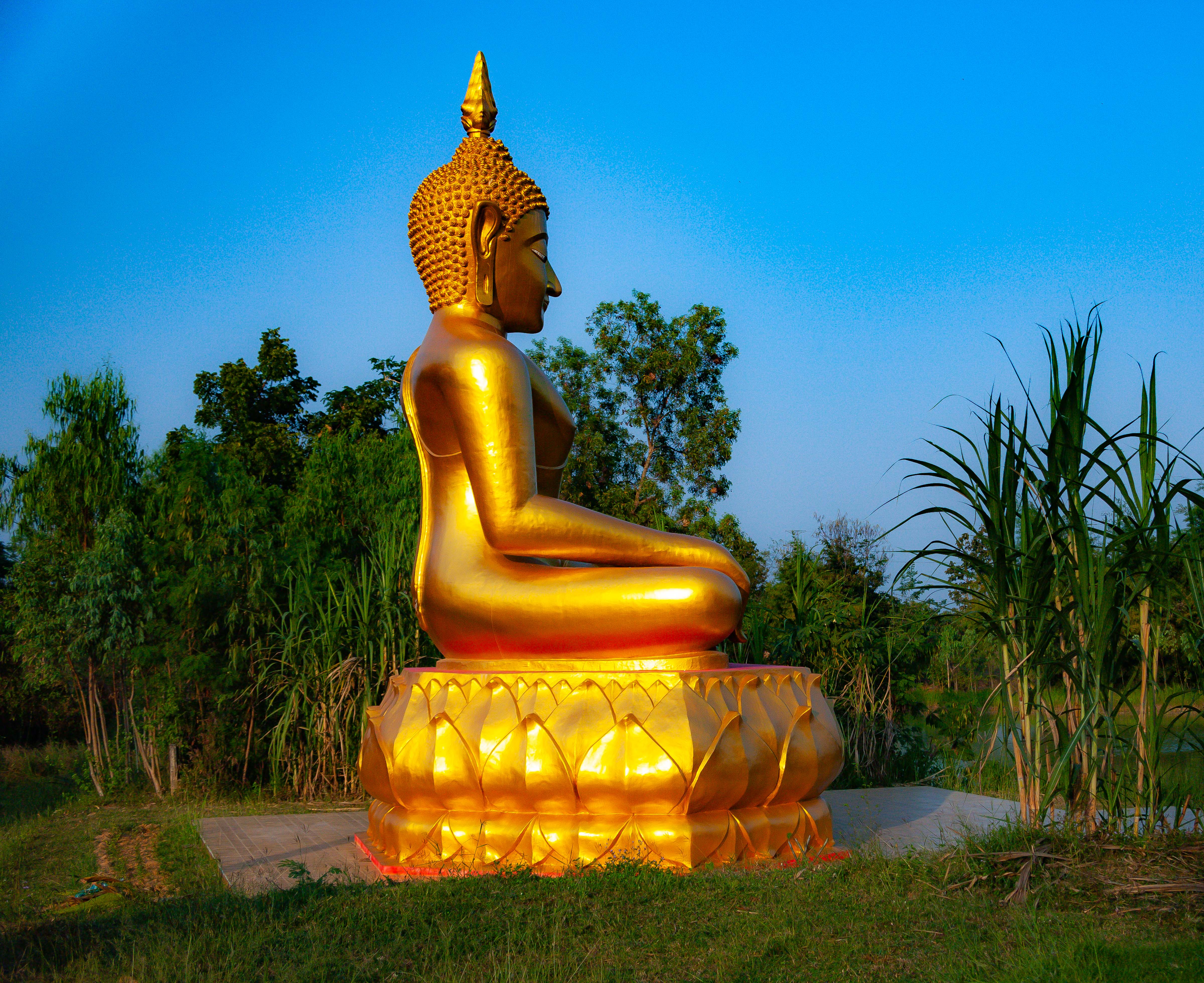 Thailand, Kalasin Prov, Gold Buddha, 2008, IMG 6030