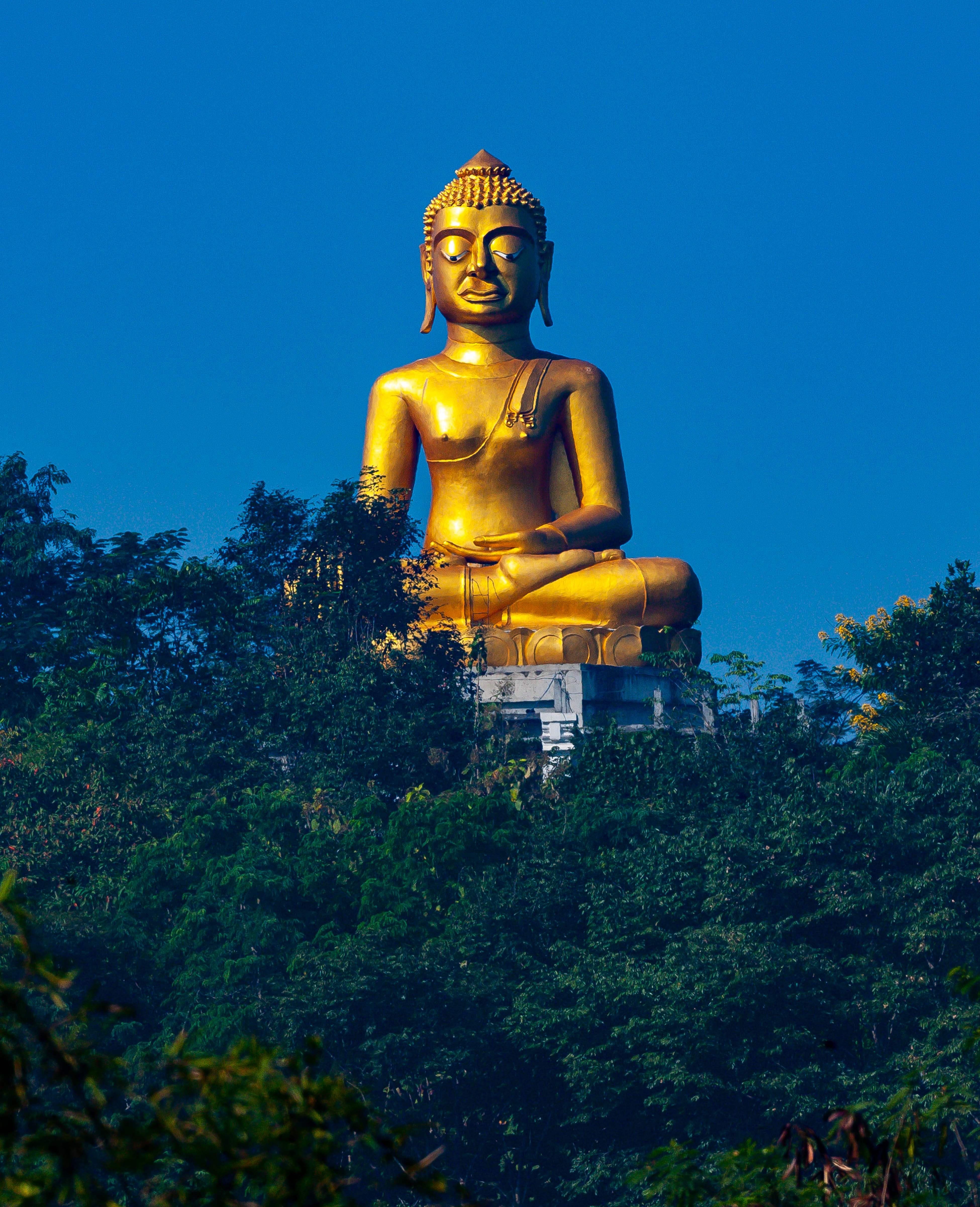 Thailand, Loei Prov, Sitting Buddha, 2008, IMG 6451