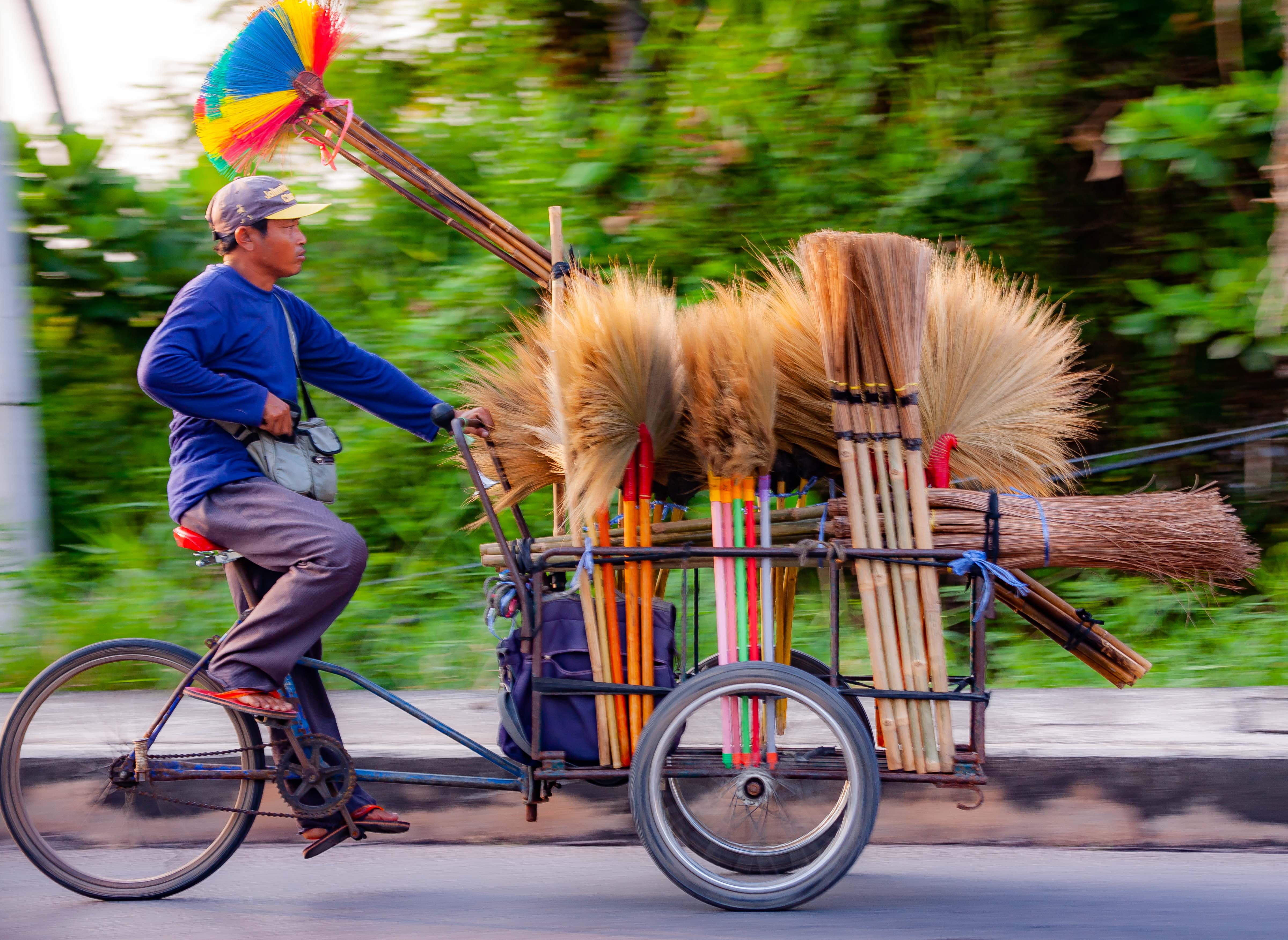 Thailand, Samut Songkhram Prov, Broom Cart, 2008, IMG 1312