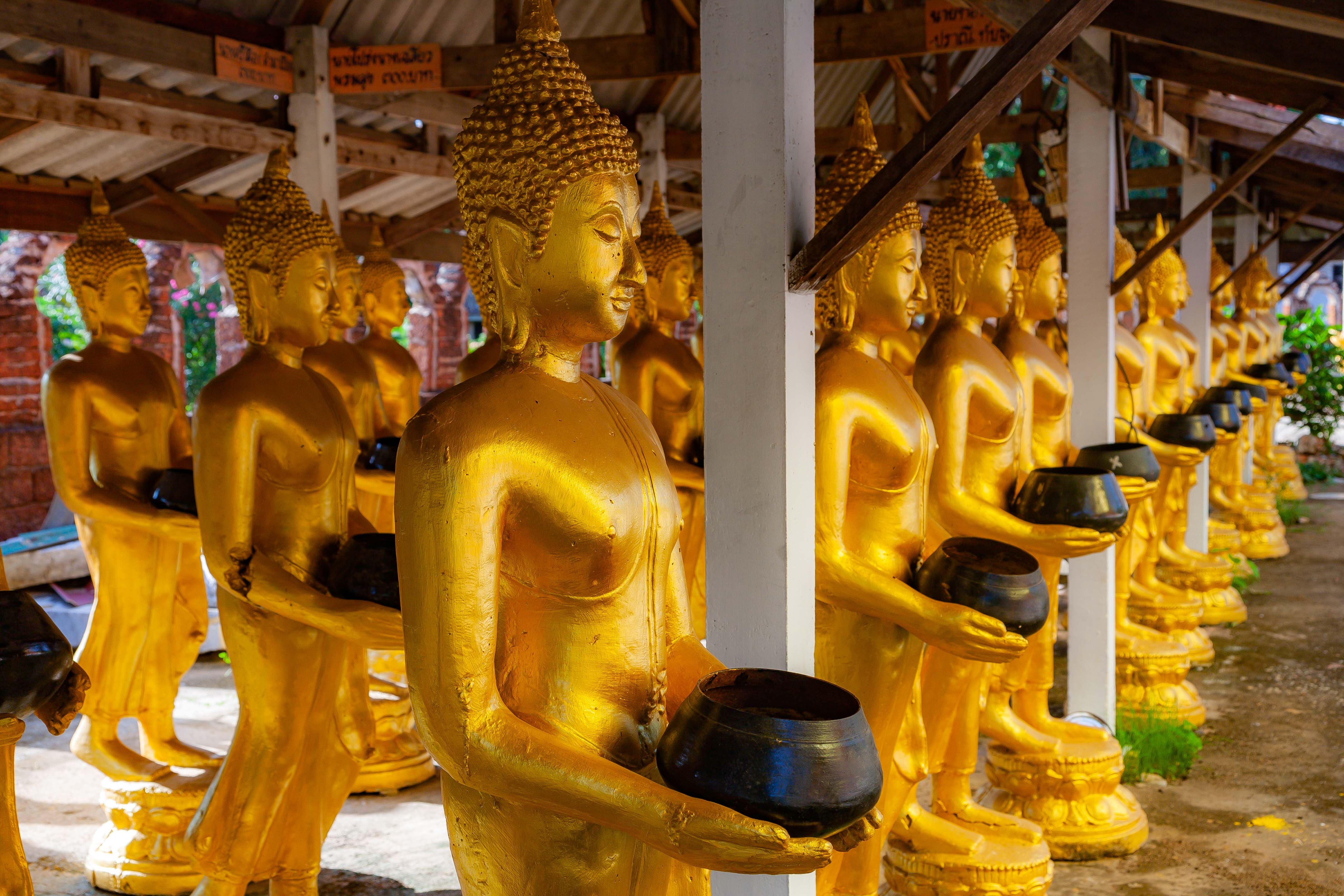 Thailand, Sukhothai Prov, Buddhas, 2008, IMG 4190