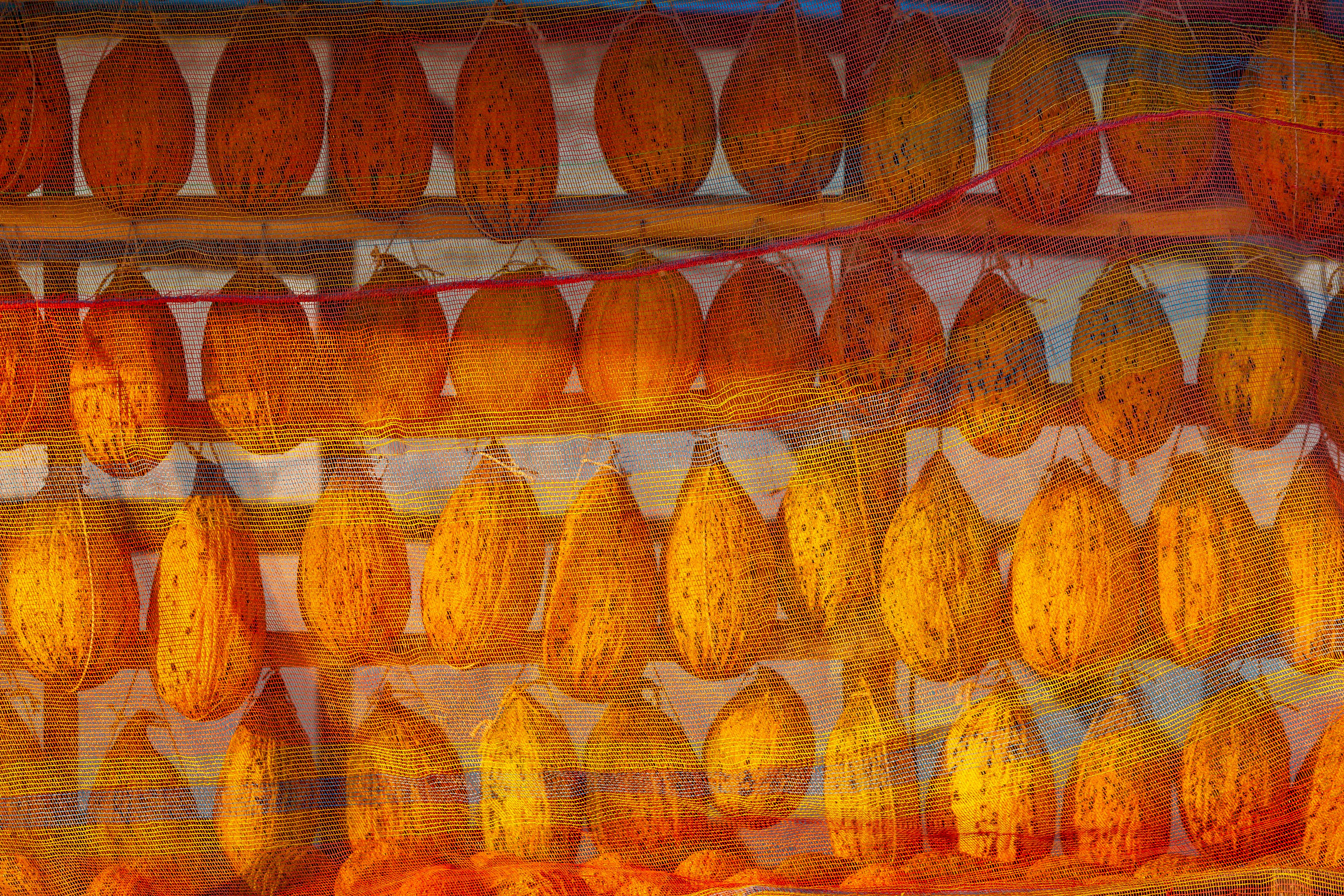 Turkey, Manisa Prov, Melons Behind Mesh, 2009, IMG 0318