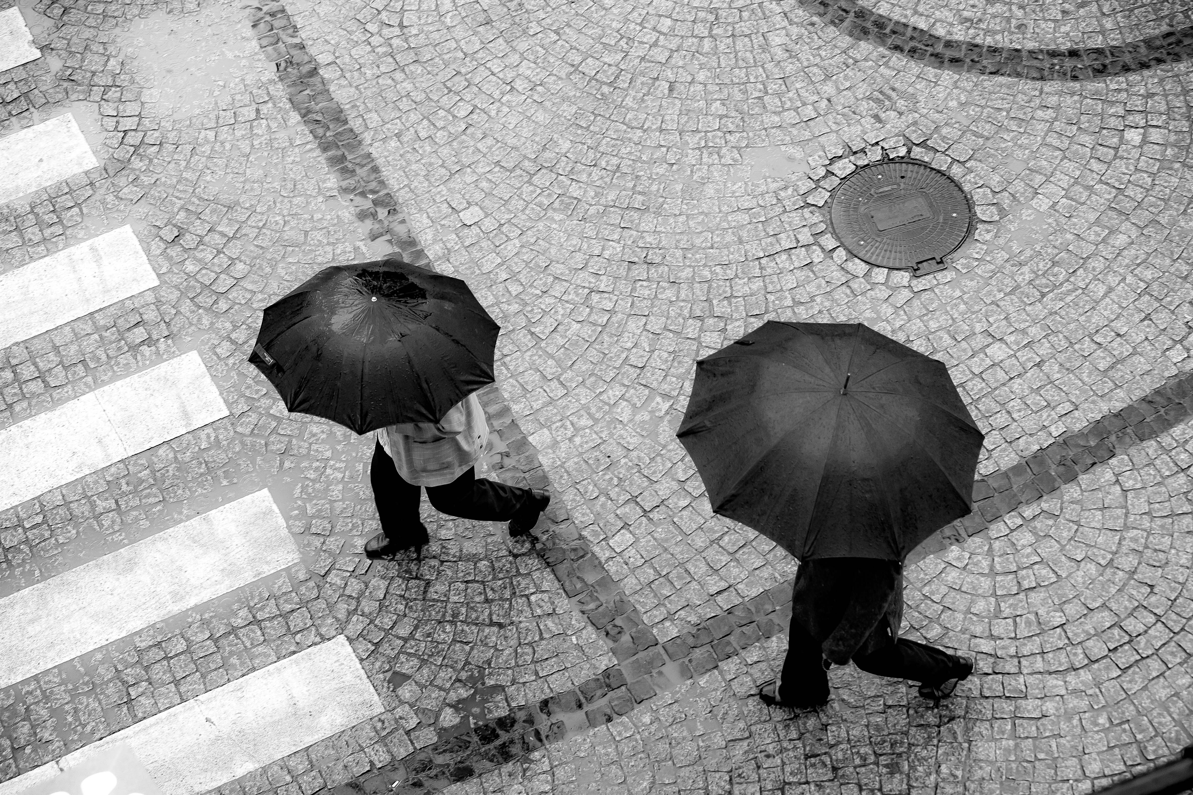Turkey, Rize Prov, Umbrellas, 2010, IMG 7542 BW