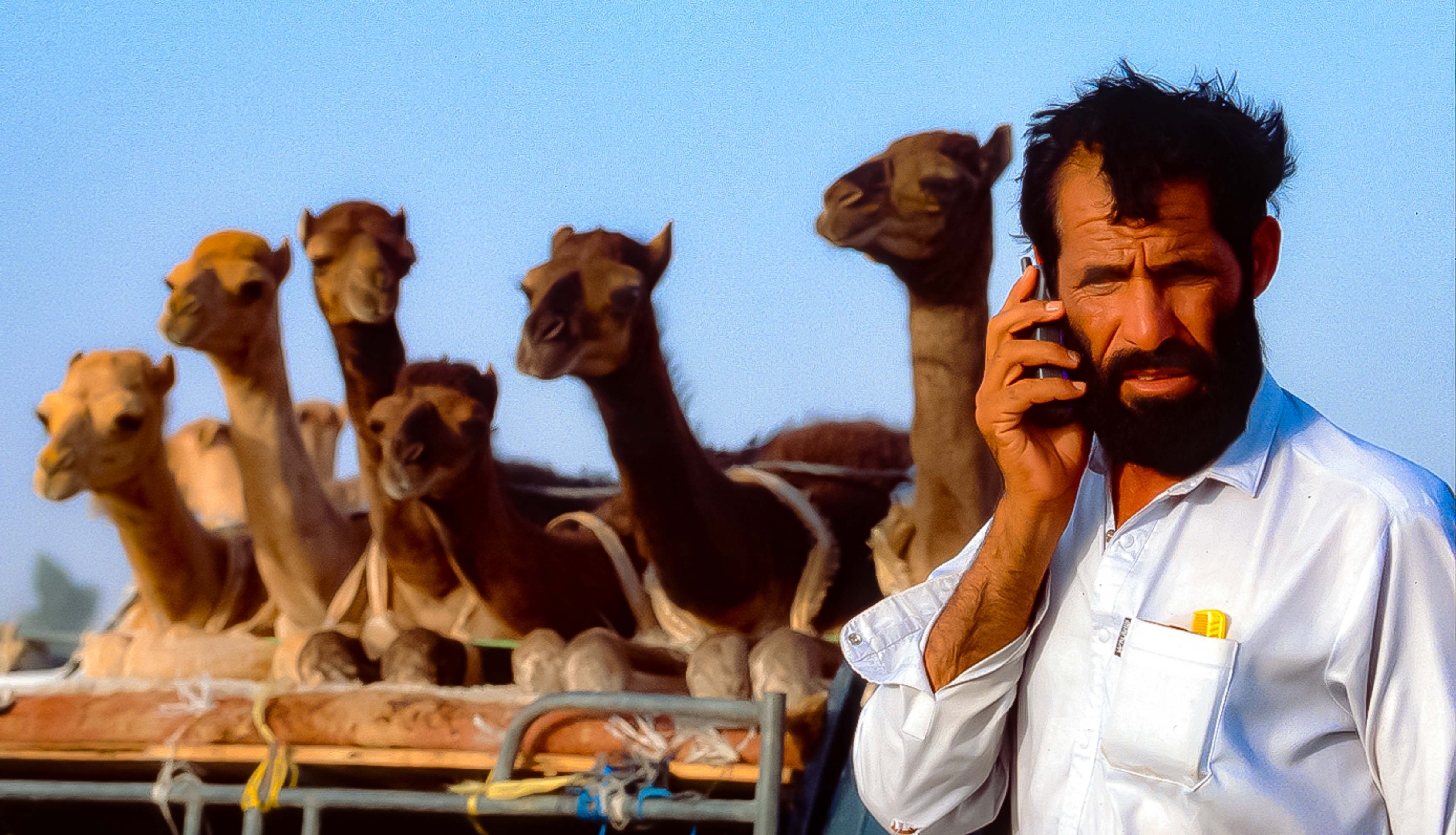United Arab Emirates, Abu Dhabi, Camel Salesman, 2000