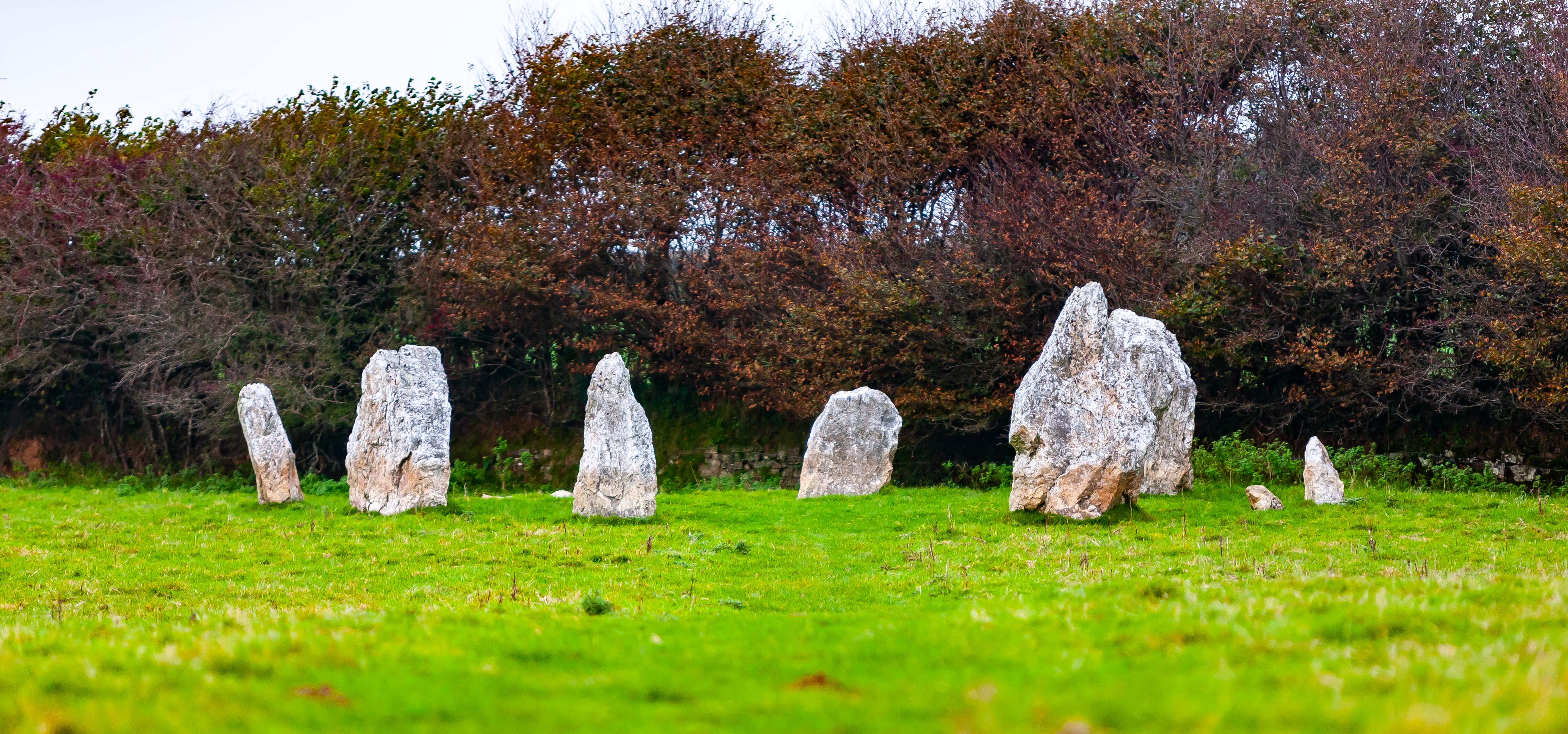 UK, Cornwall Prov, Duloe Stone Circles Circa 2000BC, 2009, IMG 4598