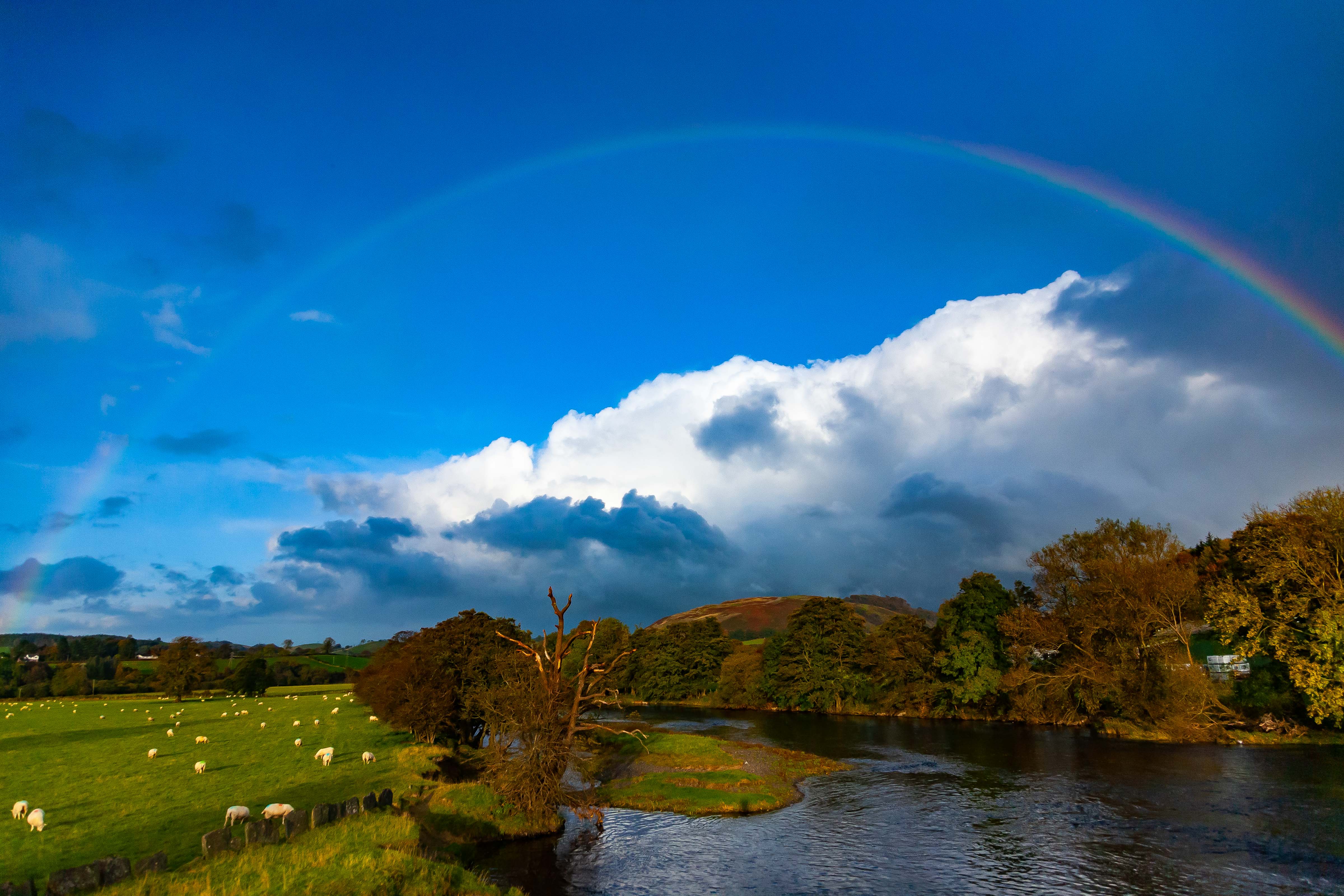 UK, Denbighshire Prov, Country Rainbow, 2009, IMG 6146