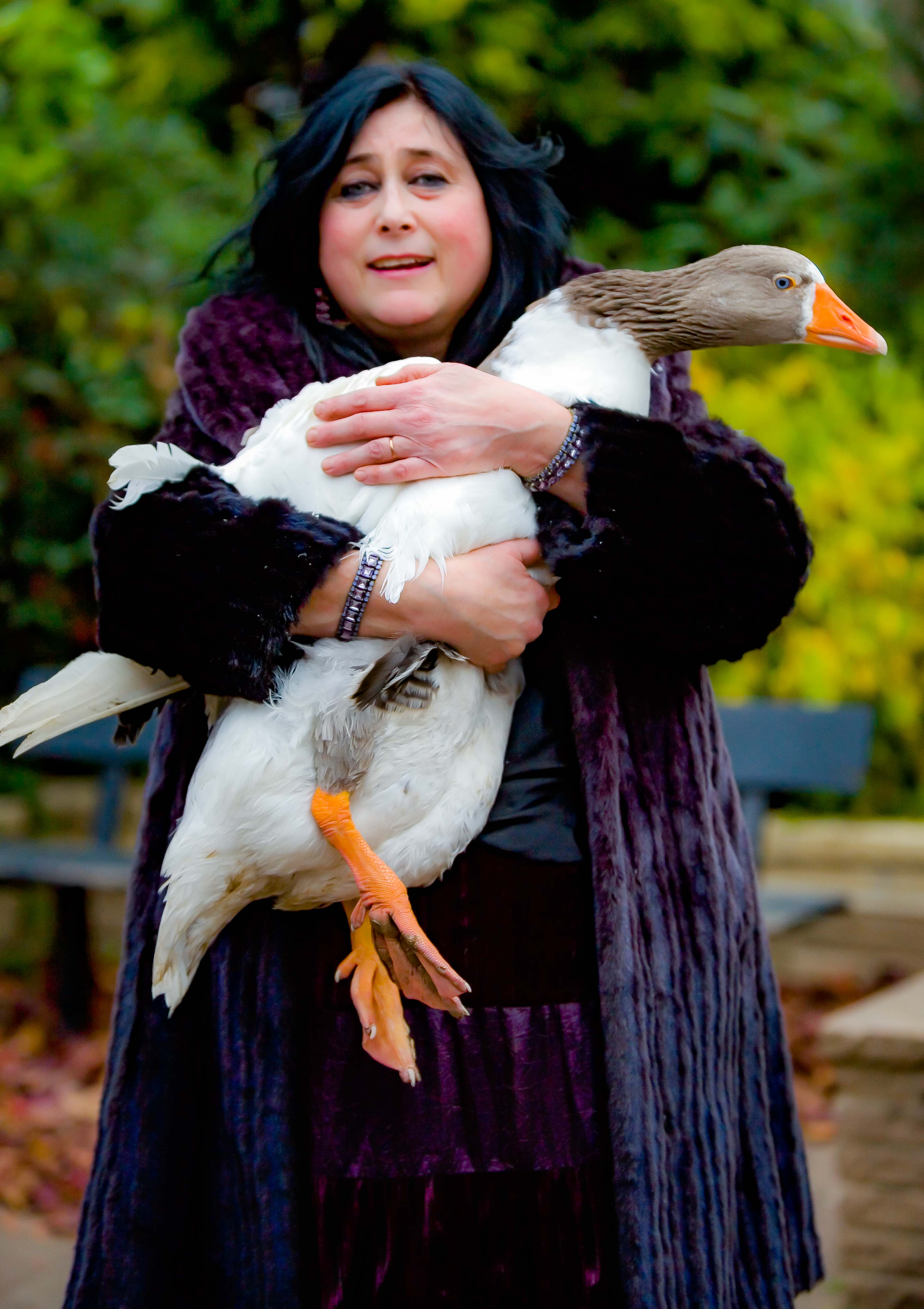 UK, Peterborough Prov, Woman Hugs Goose, 2009, IMG 7495