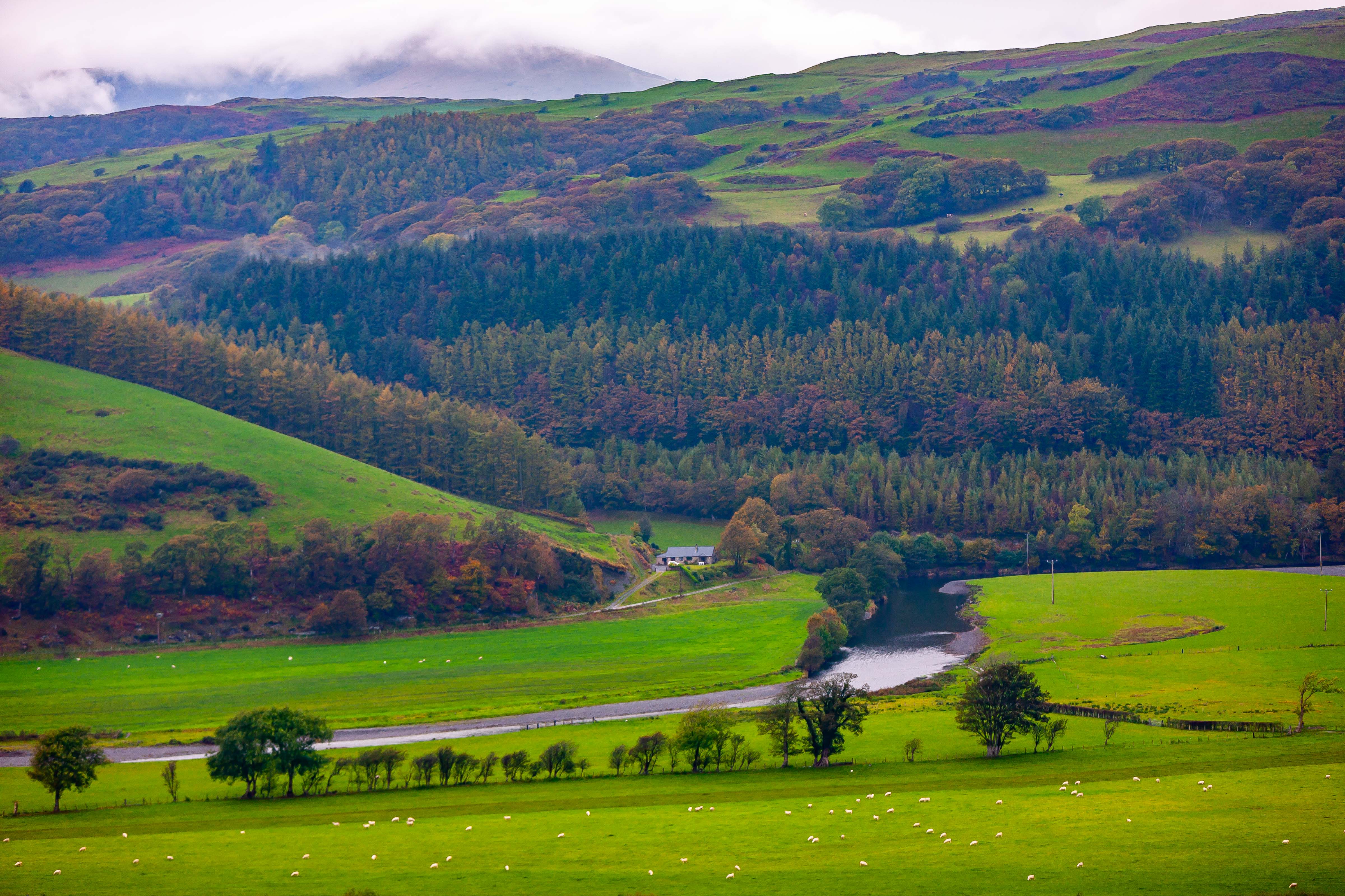 UK, Powys Prov, Landscape, 2009, IMG 5746