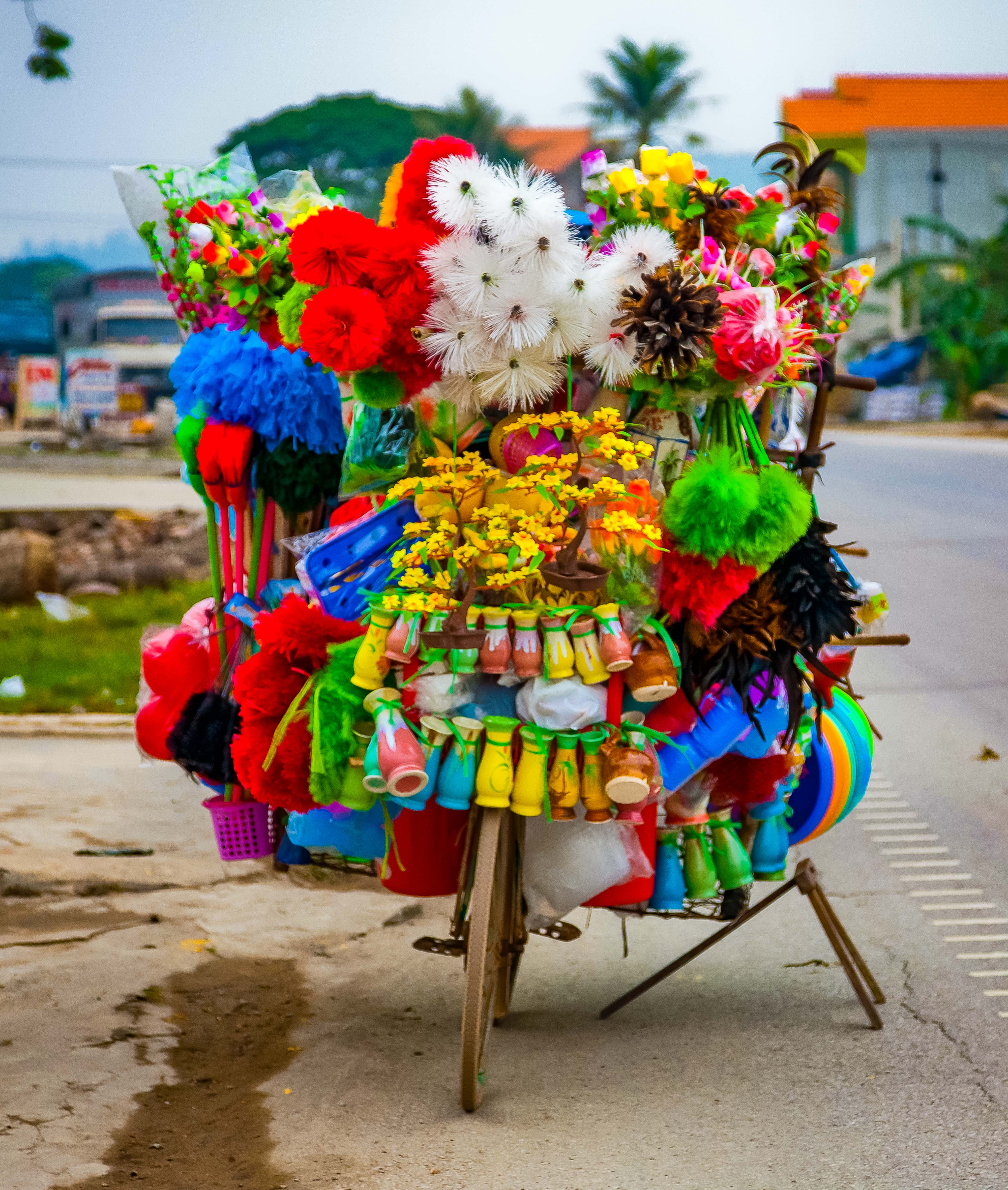Vietnam, ThanhHoa Prov, Street Vendor Bike, 2010, img_3315