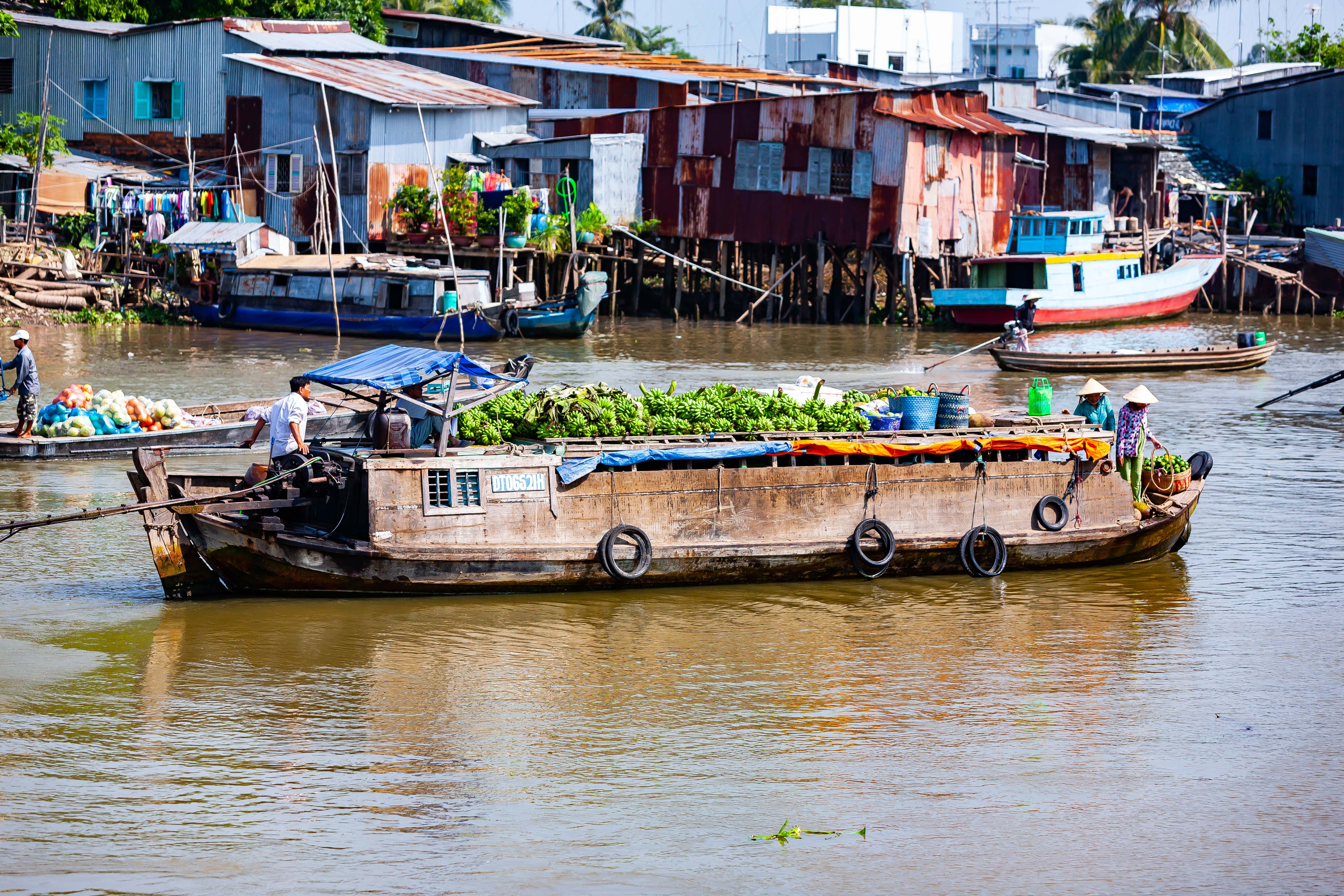 Vietnam, An Giang Prov, Banana Boat, 2010, IMG 1830