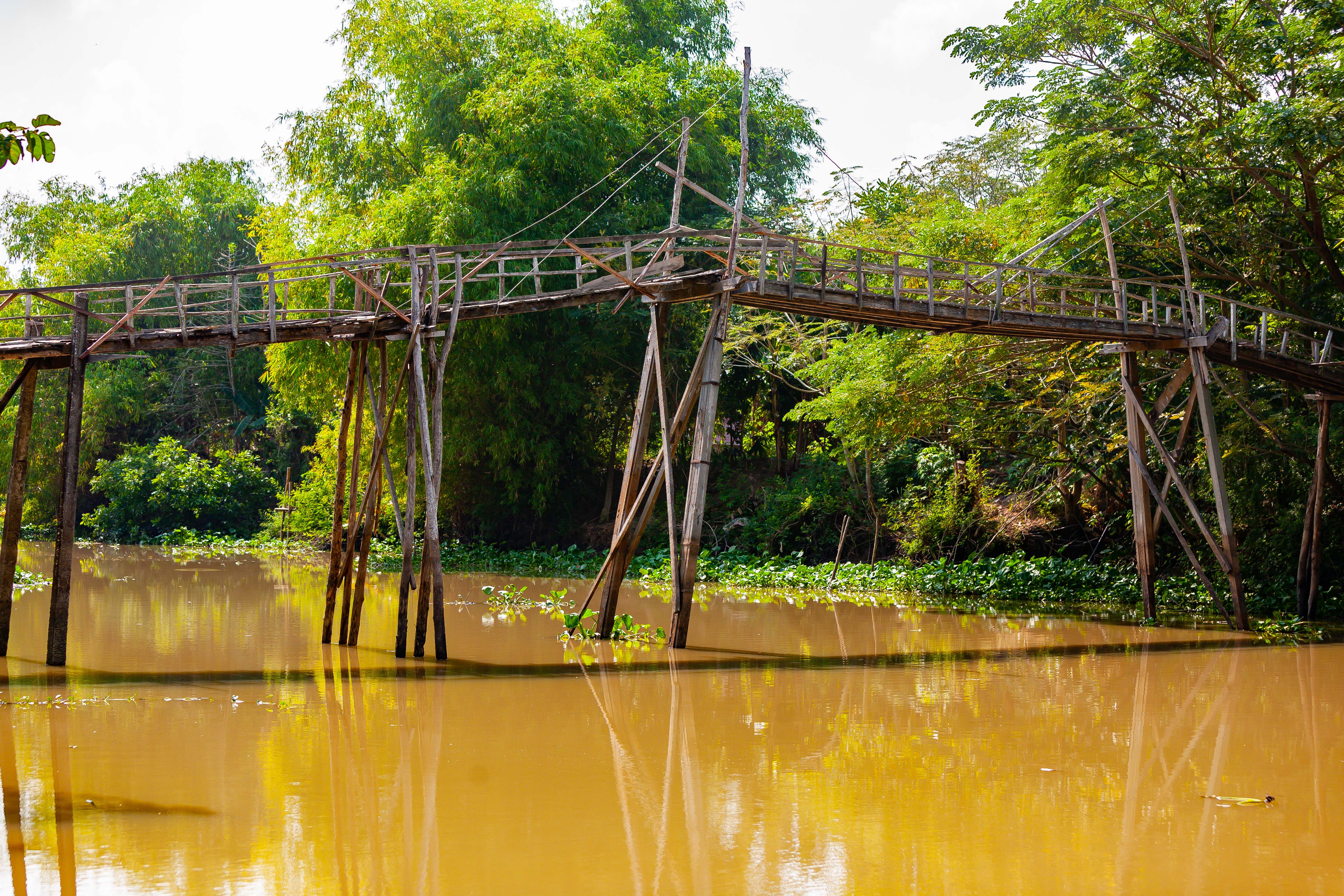 Vietnam, Dong Thap Prov, Rickety Foot Bridge, 2010, IMG 1952
