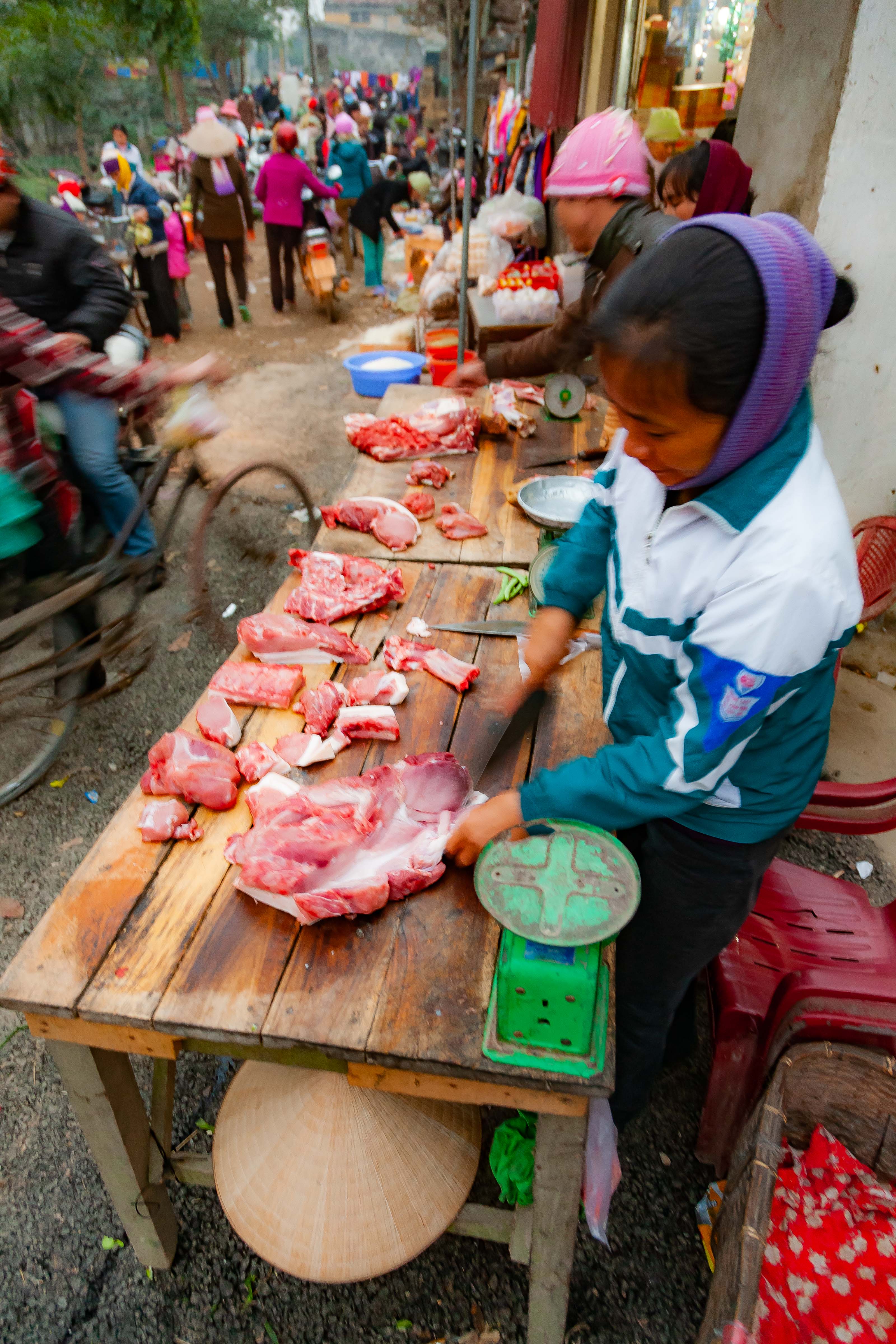 Vietnam, Nam Dinh Prov, Pork Vendor, 2010, IMG 3455