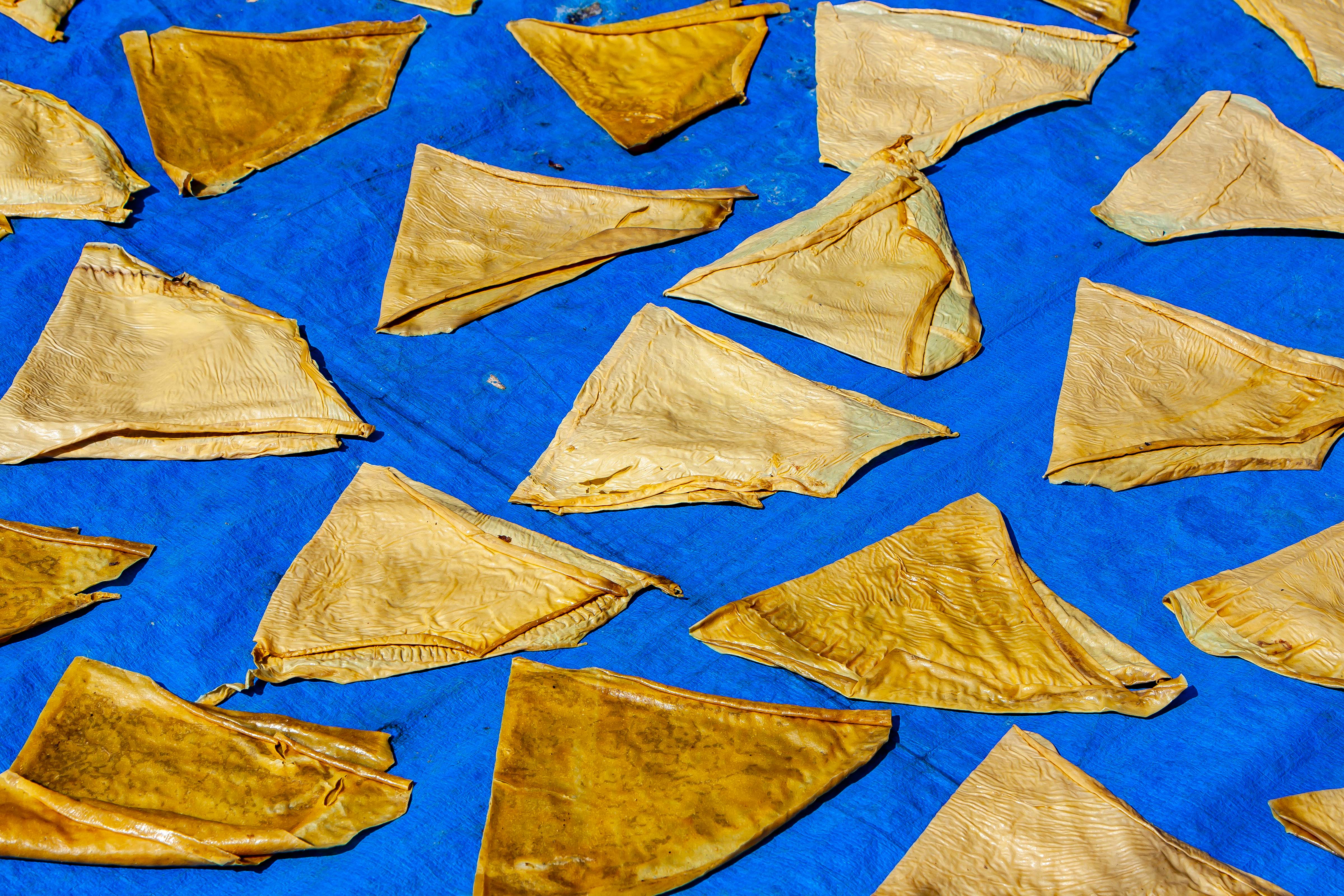 Vietnam, Quang Ngai Prov, Drying Food Triangles, 2010, IMG 2564