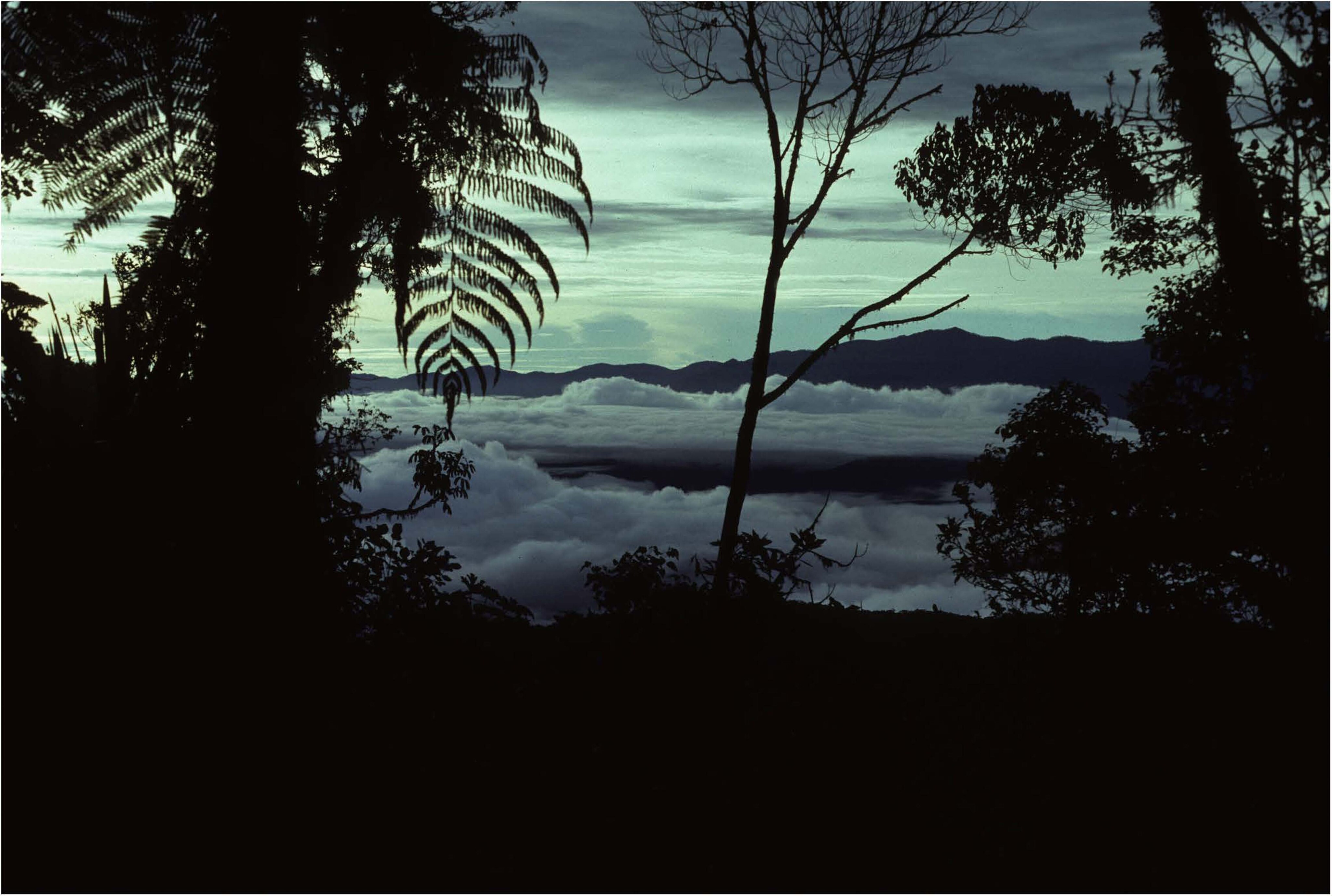 Walk Out of the Highlands of New Guinea – Koroba, Papua New Guinea ...